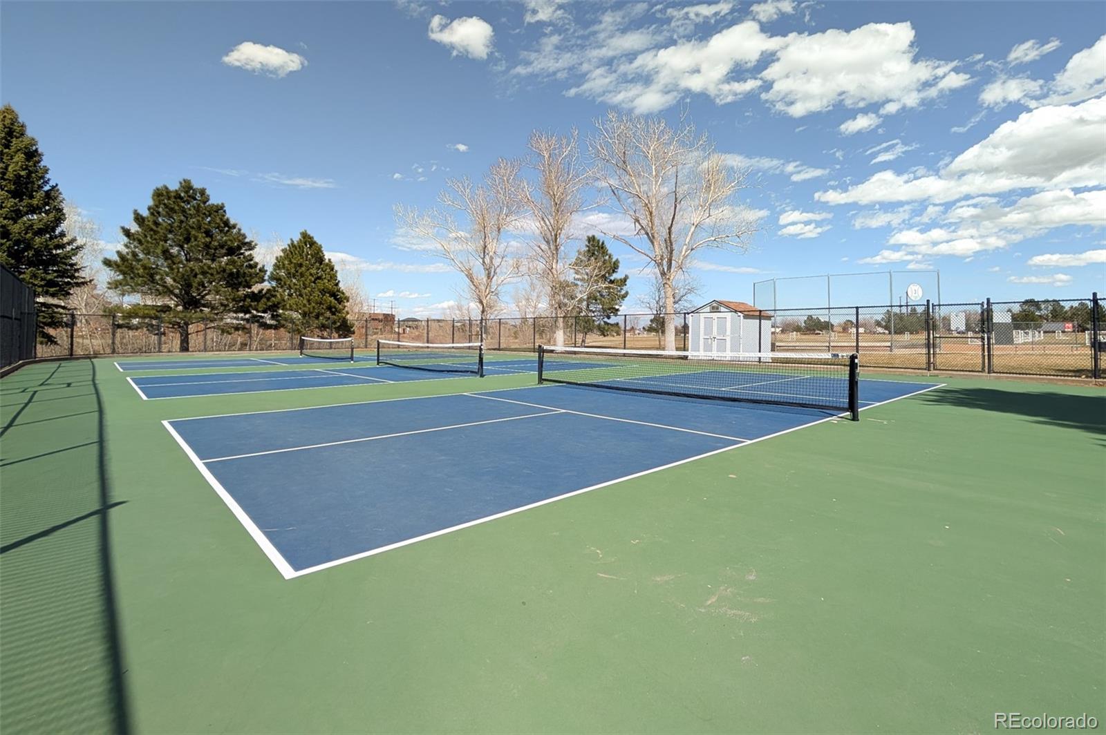 MLS Image #42 for 338  chelsea street,castle rock, Colorado
