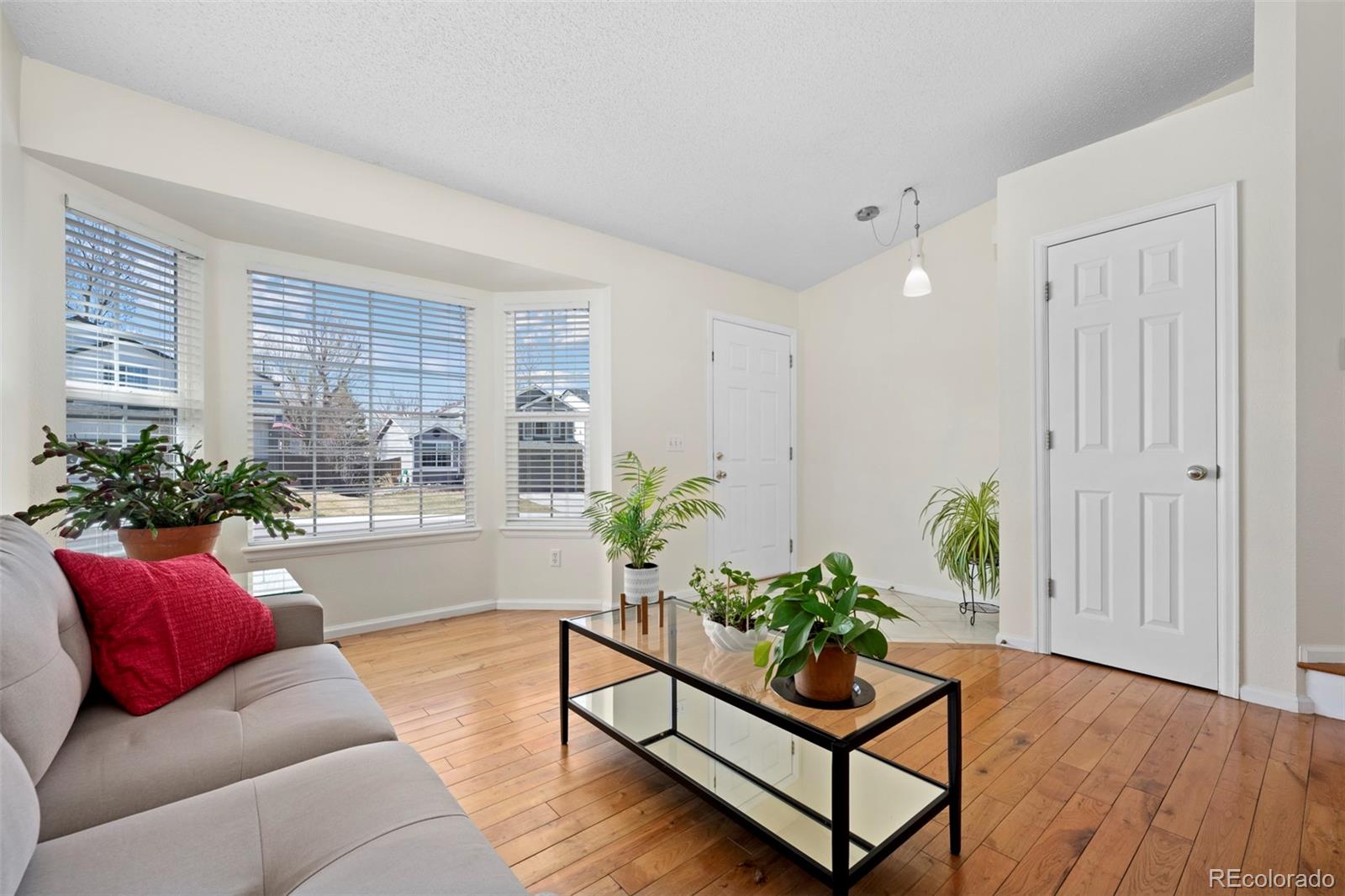 MLS Image #5 for 338  chelsea street,castle rock, Colorado