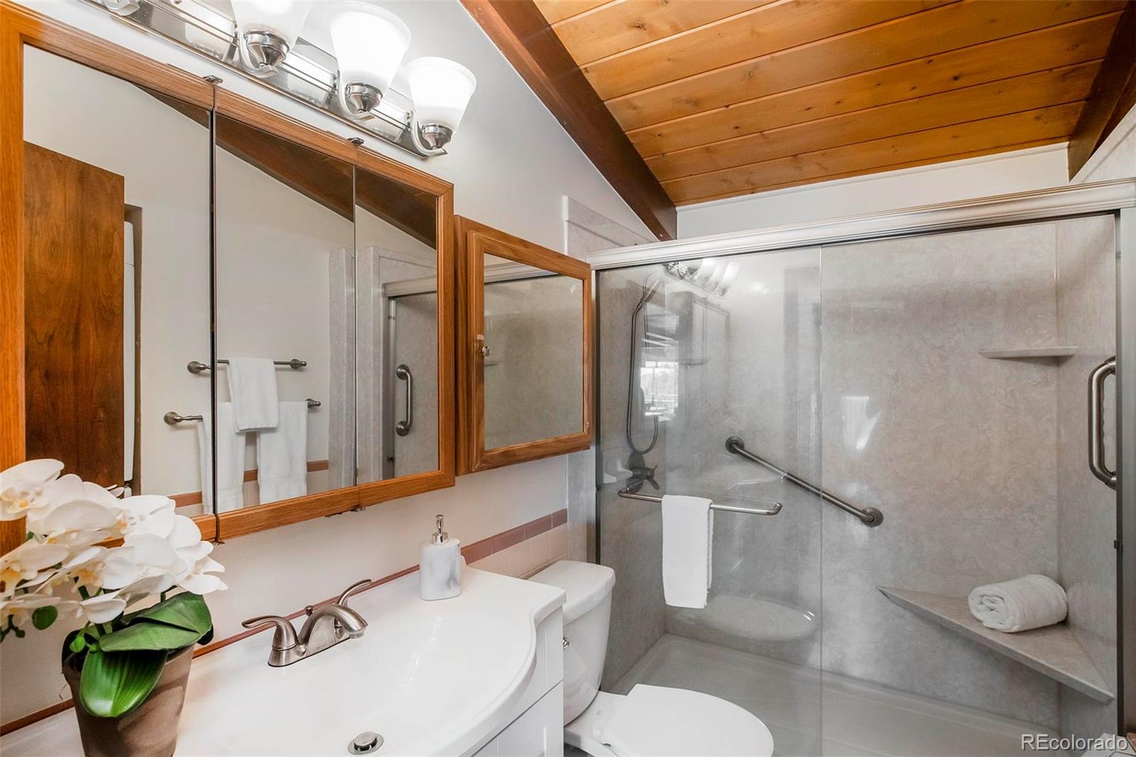 MLS Image #25 for 21868  mountsfield drive,golden, Colorado
