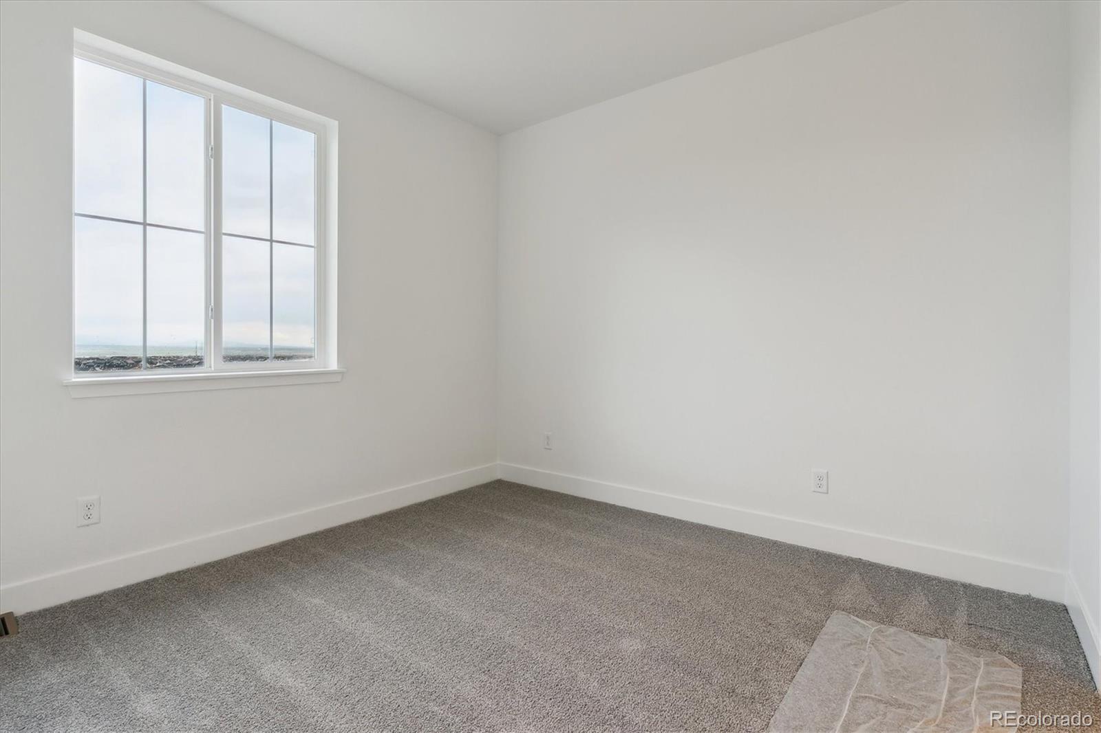 MLS Image #11 for 8229  butte creek street,littleton, Colorado