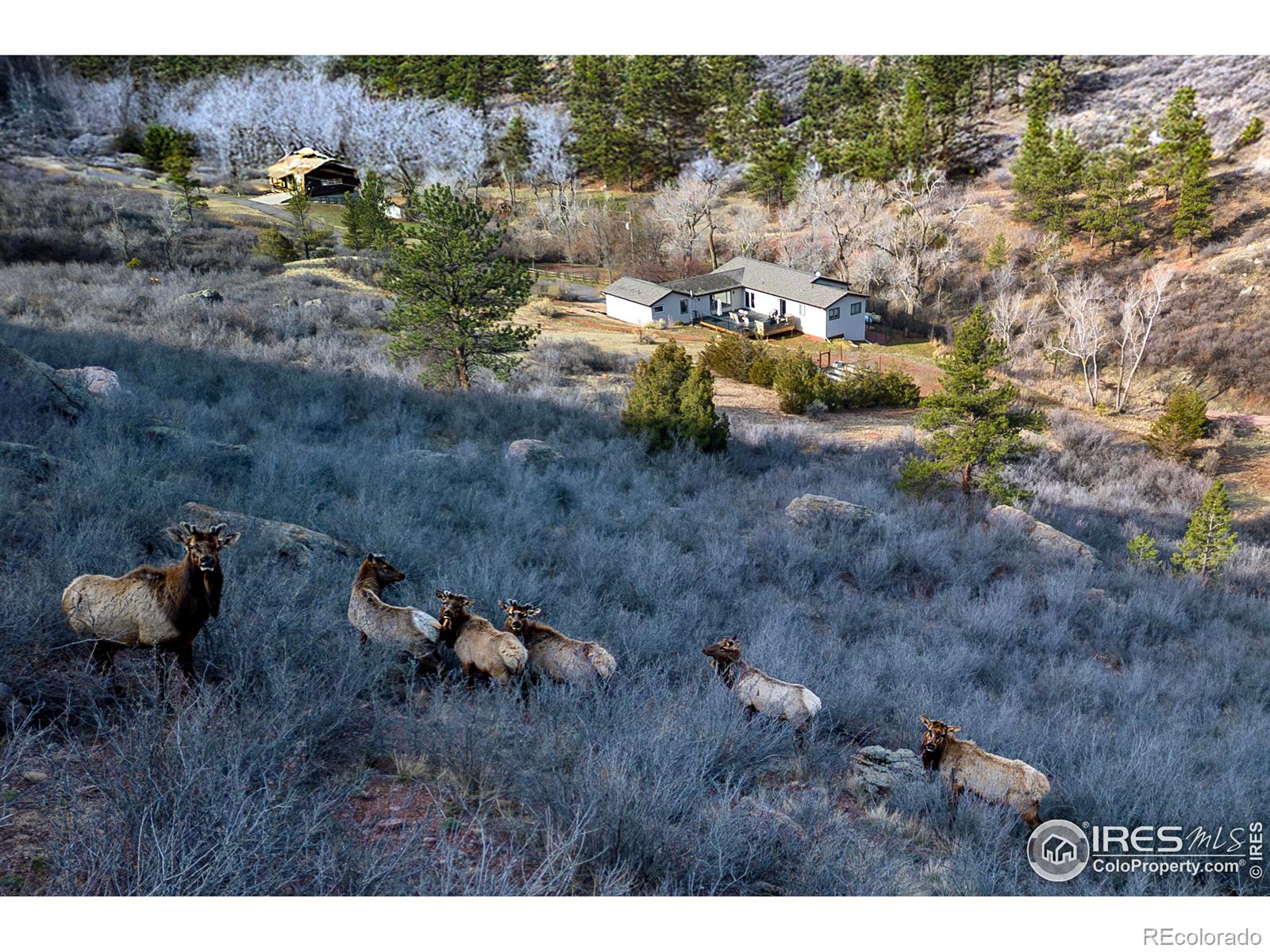 CMA Image for 1200  Ponderosa Hill Road,Lyons, Colorado