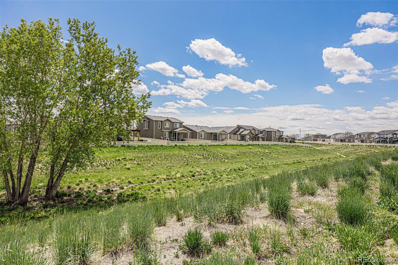 MLS Image #22 for 10506  akron street,commerce city, Colorado