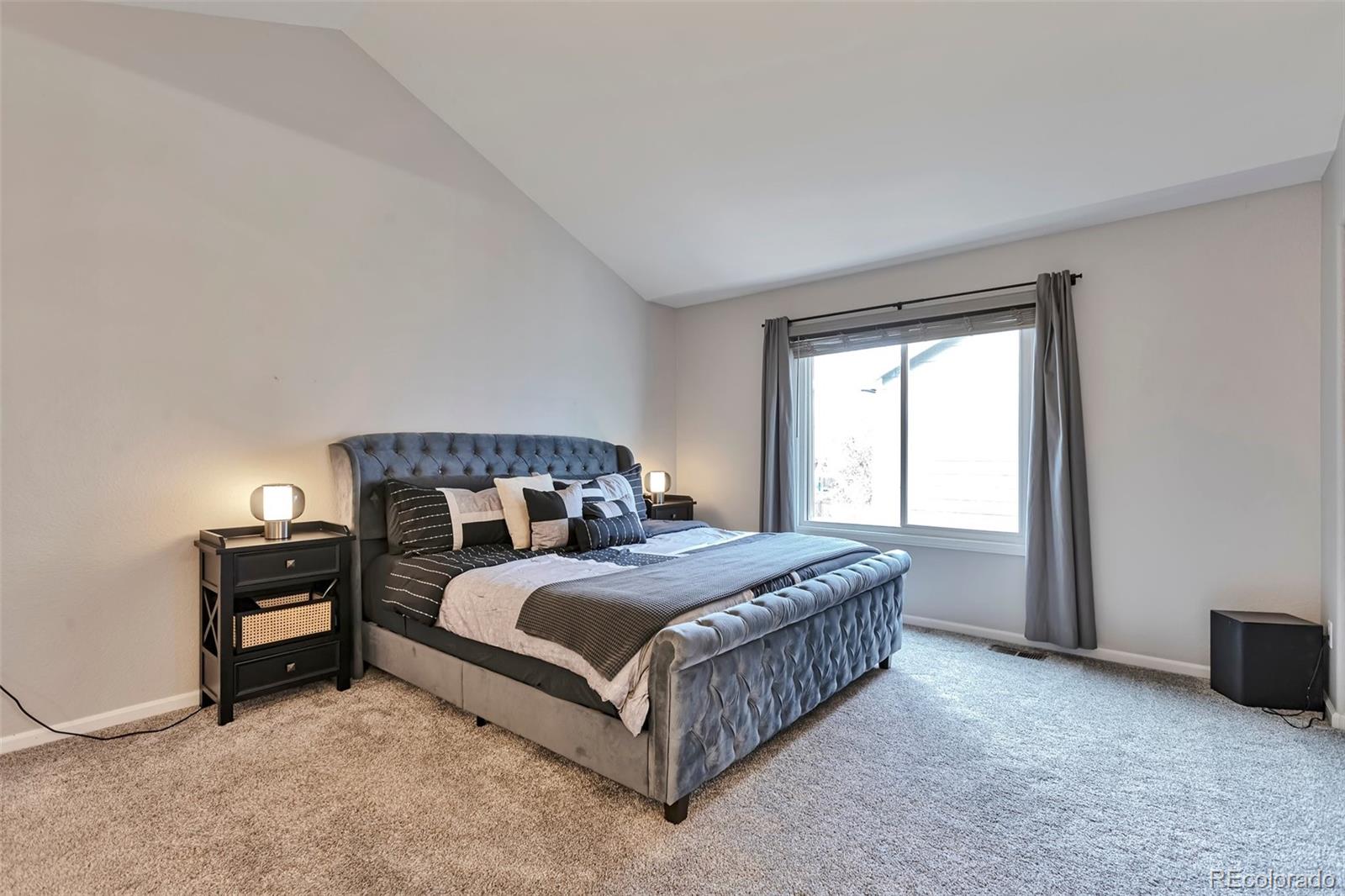 MLS Image #12 for 8958  forrest drive,highlands ranch, Colorado