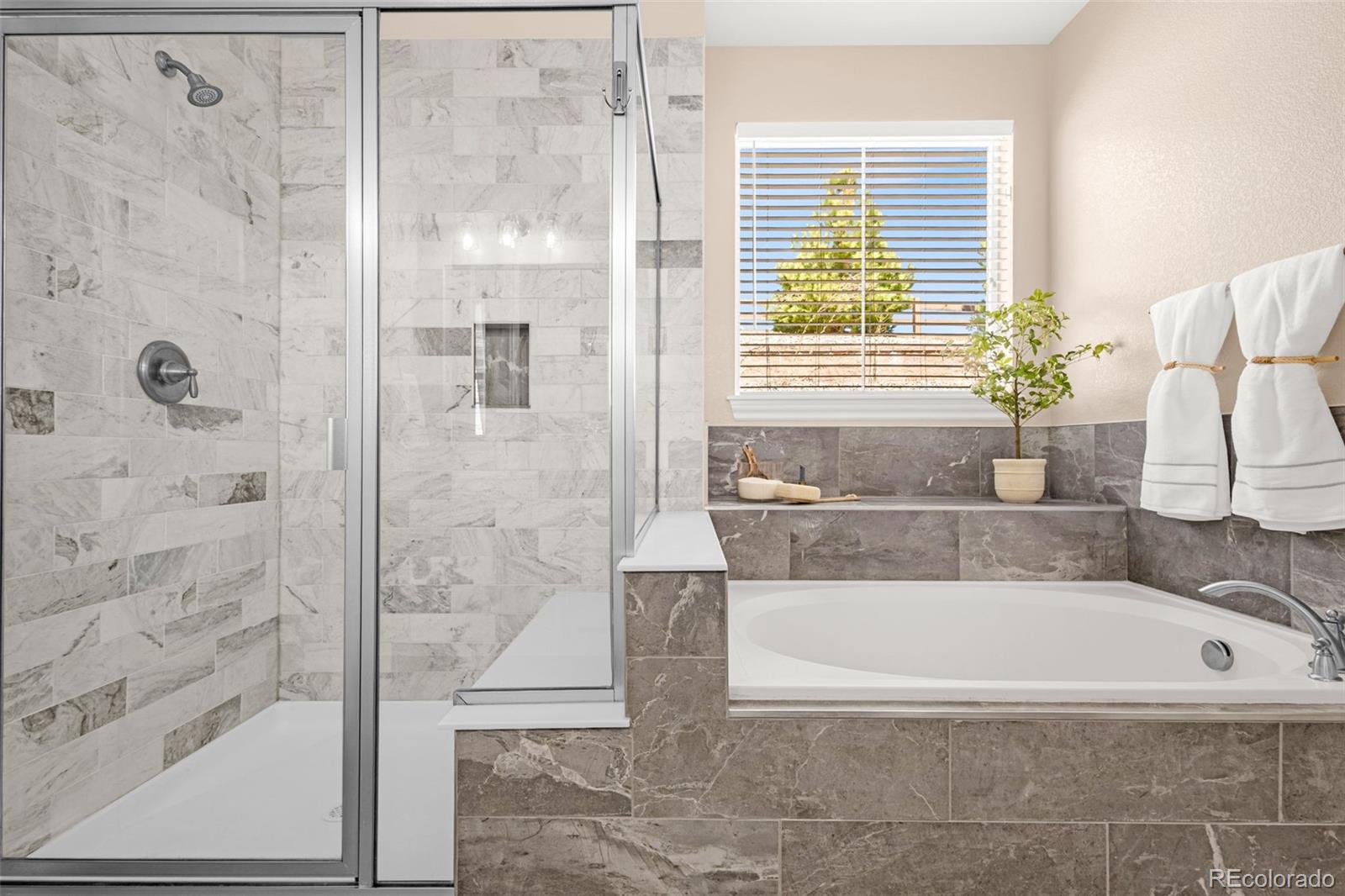MLS Image #26 for 3309  thornwood court,castle rock, Colorado