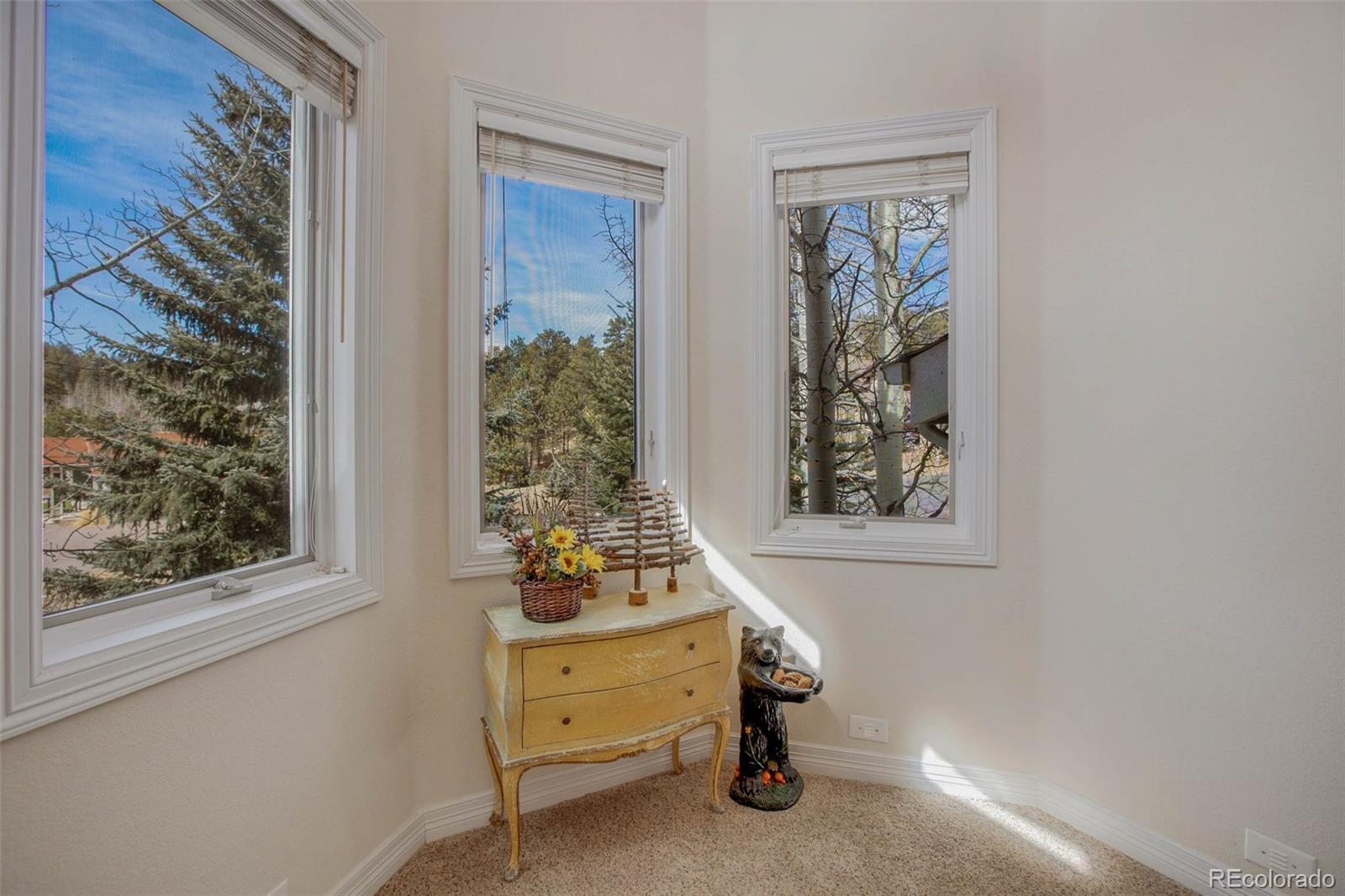 MLS Image #26 for 725  sun valley drive,woodland park, Colorado