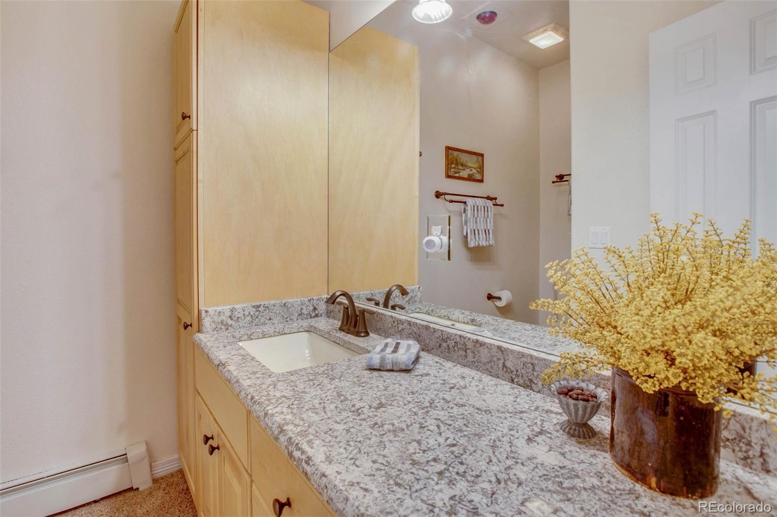 MLS Image #28 for 725  sun valley drive,woodland park, Colorado