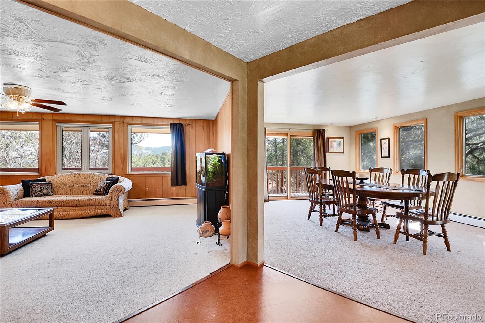 MLS Image #10 for 29551  dorothy road,evergreen, Colorado