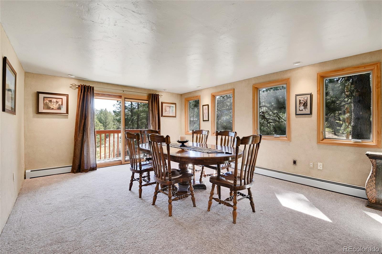 MLS Image #11 for 29551  dorothy road,evergreen, Colorado