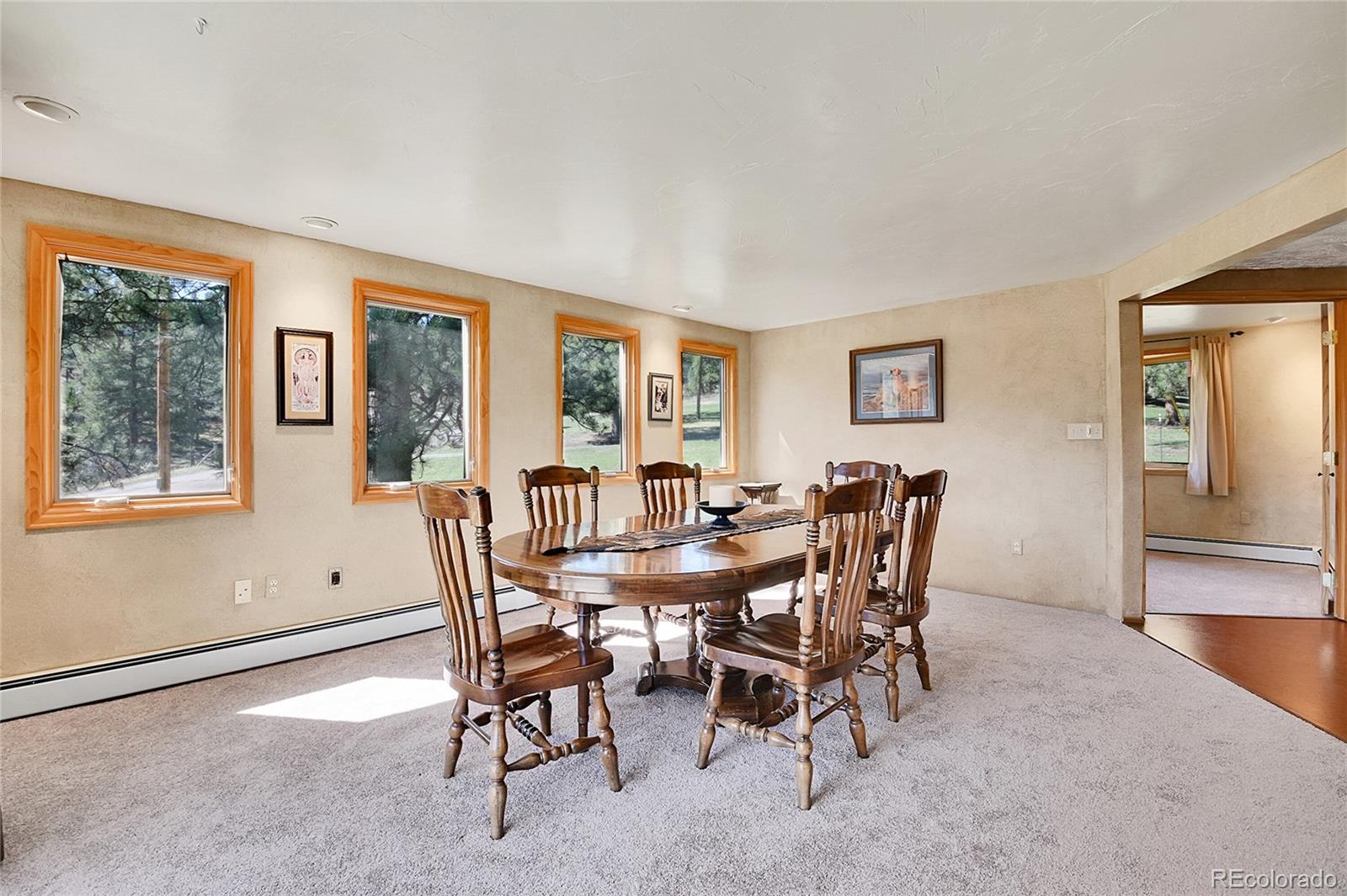 MLS Image #12 for 29551  dorothy road,evergreen, Colorado