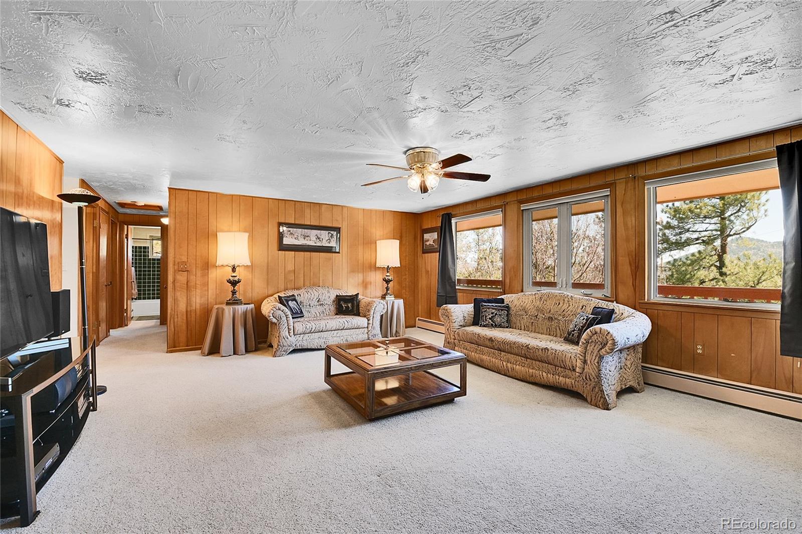 MLS Image #13 for 29551  dorothy road,evergreen, Colorado