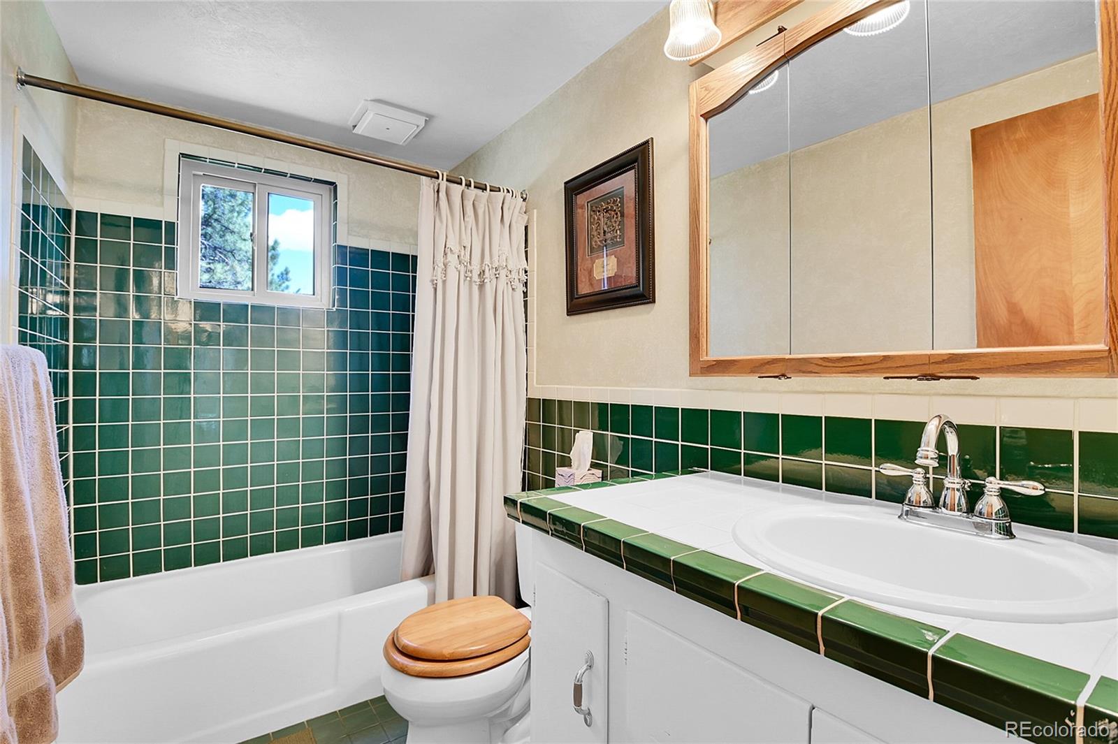 MLS Image #19 for 29551  dorothy road,evergreen, Colorado