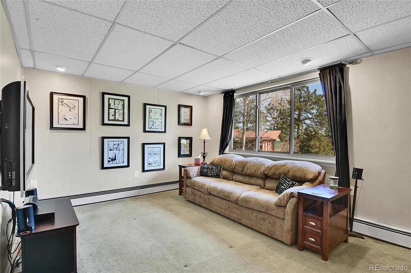 MLS Image #20 for 29551  dorothy road,evergreen, Colorado