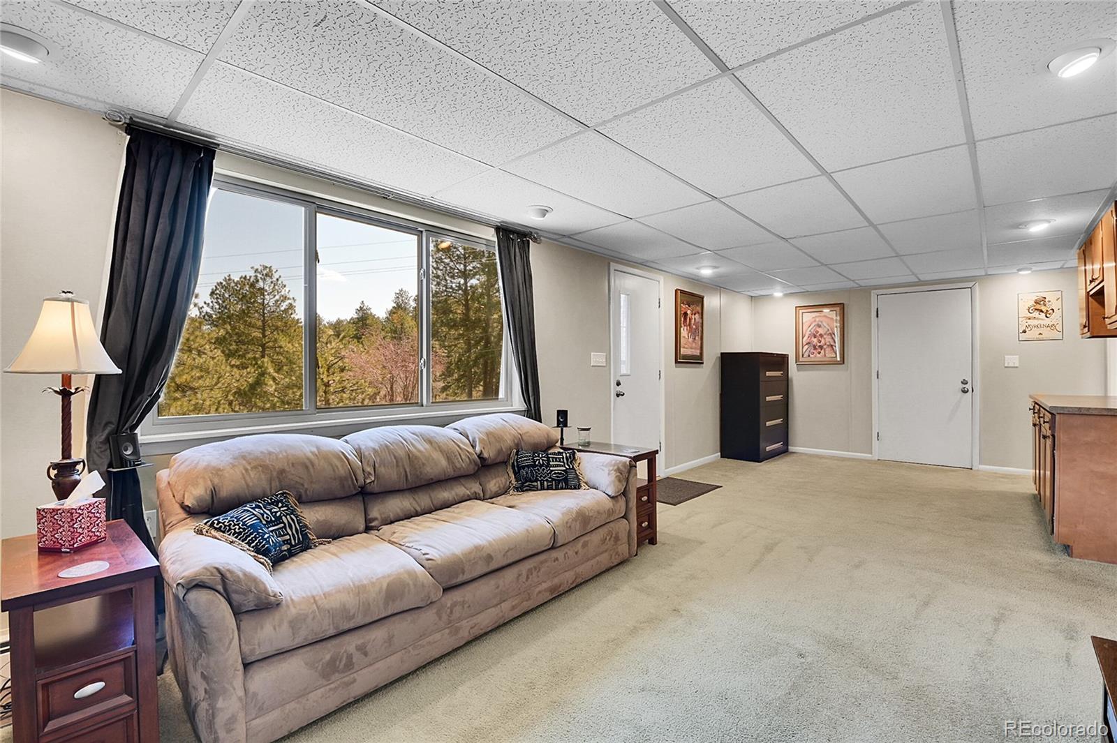 MLS Image #21 for 29551  dorothy road,evergreen, Colorado