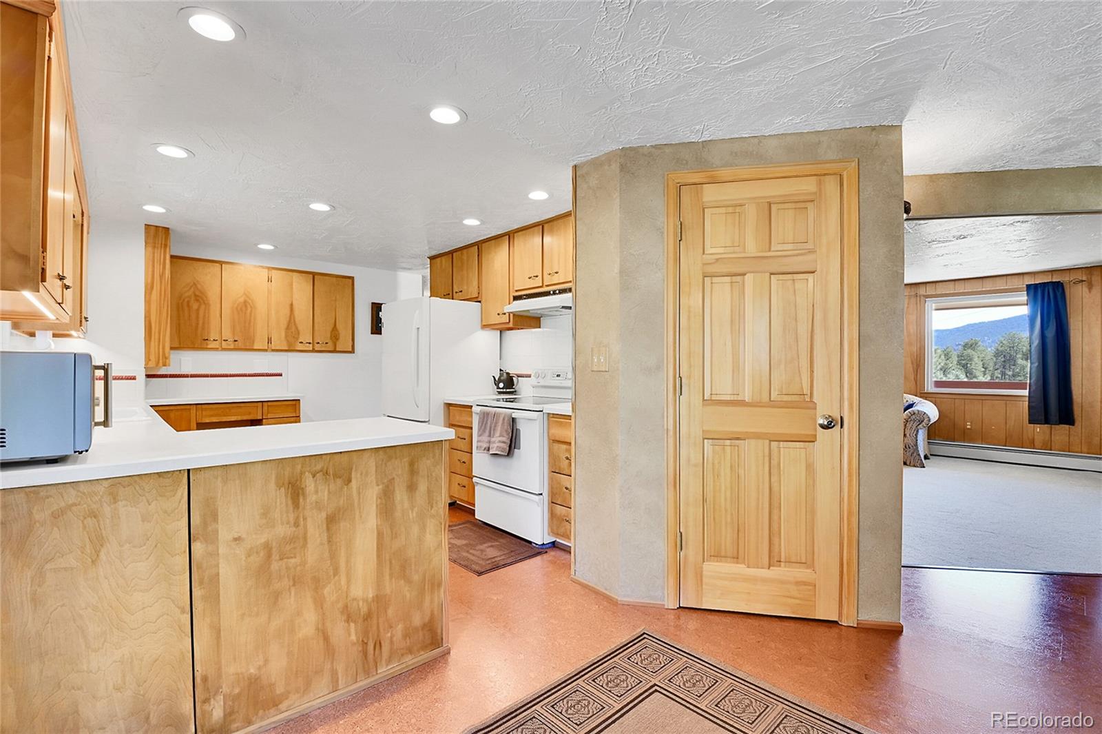 MLS Image #5 for 29551  dorothy road,evergreen, Colorado