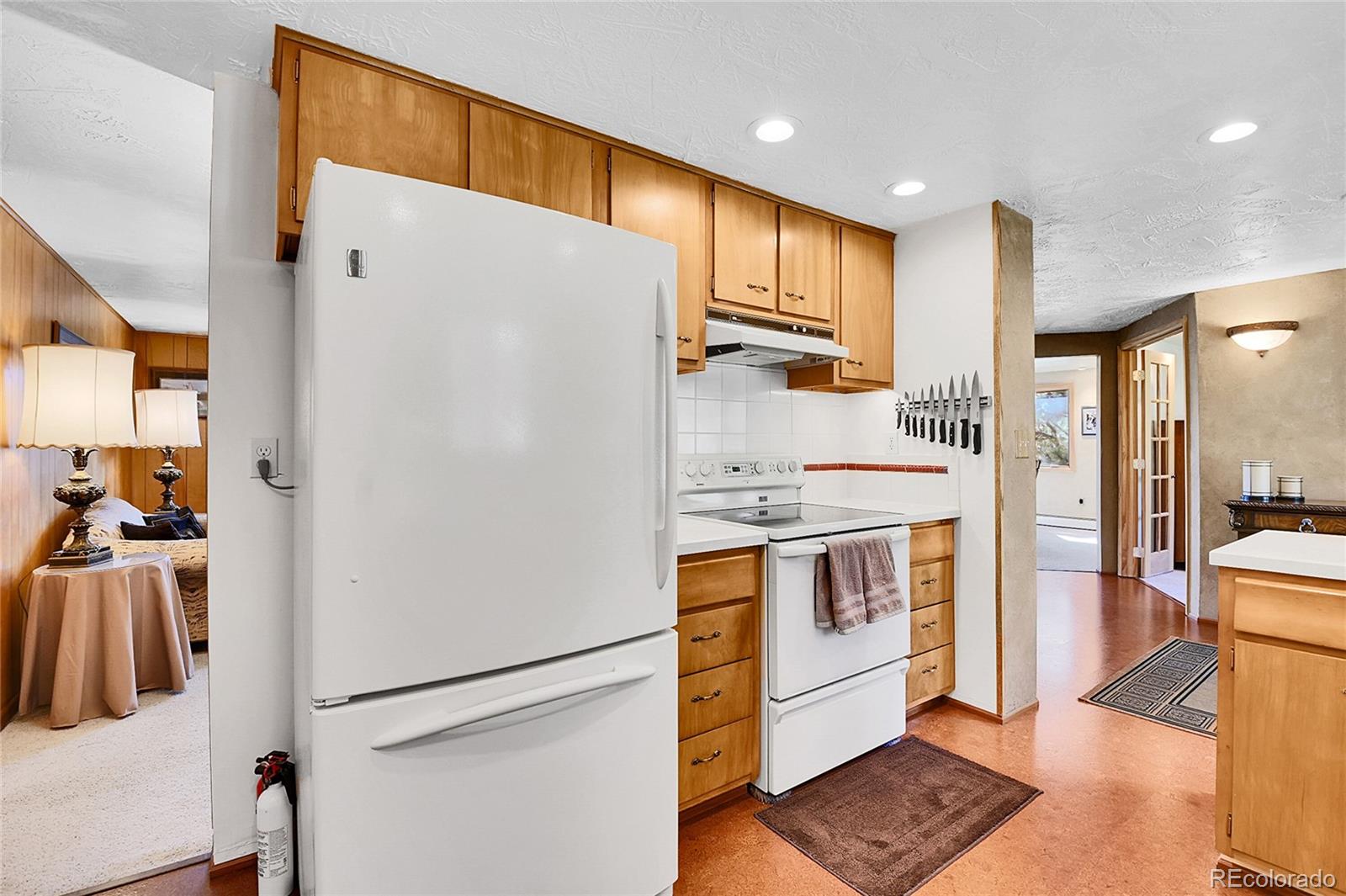 MLS Image #7 for 29551  dorothy road,evergreen, Colorado
