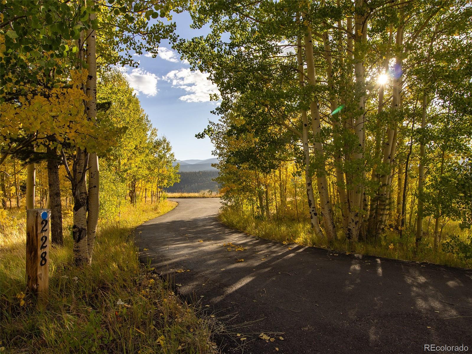 MLS Image #14 for 228  glacier ridge road,alma, Colorado