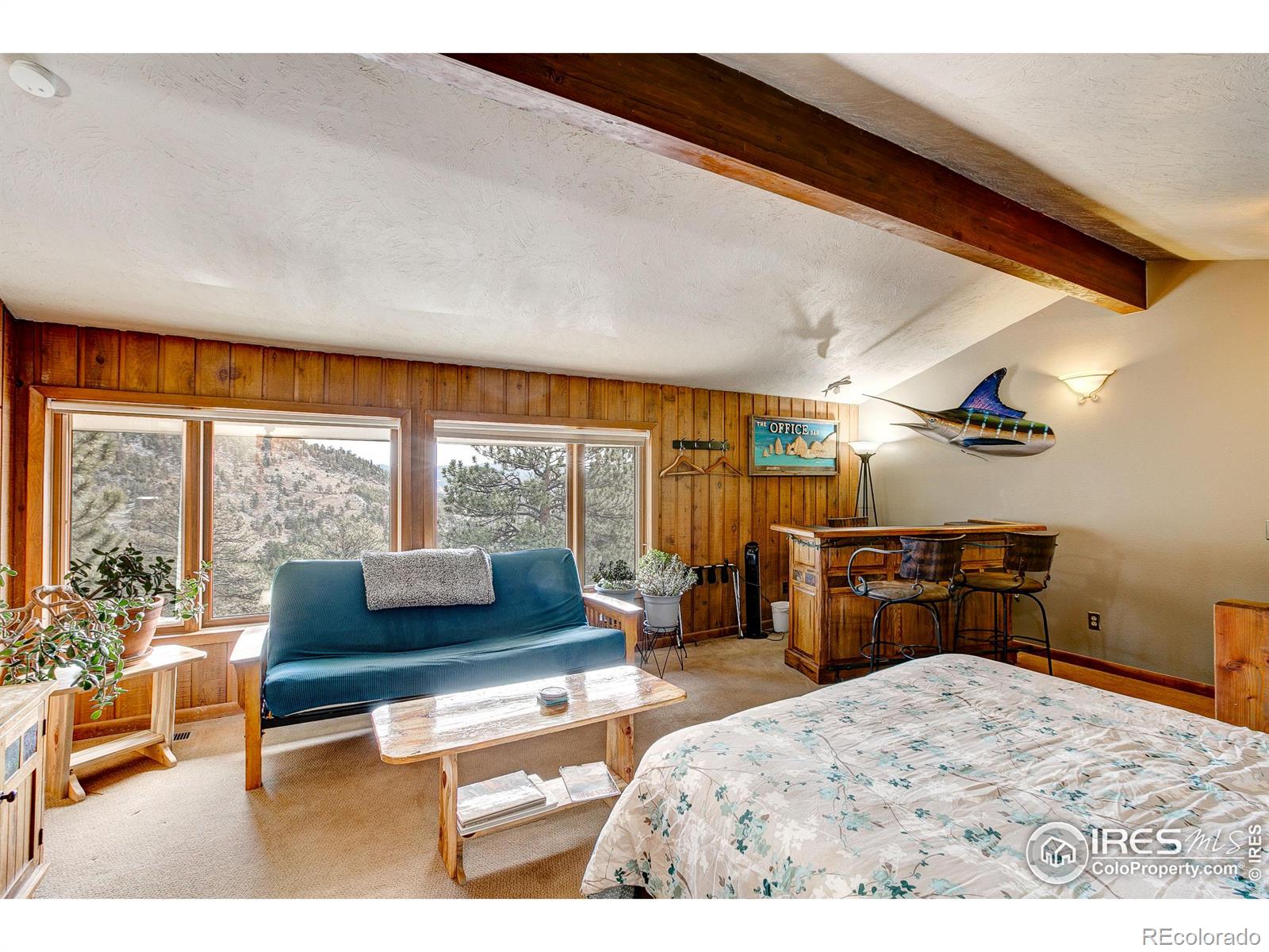 MLS Image #27 for 1070  crestview court,estes park, Colorado