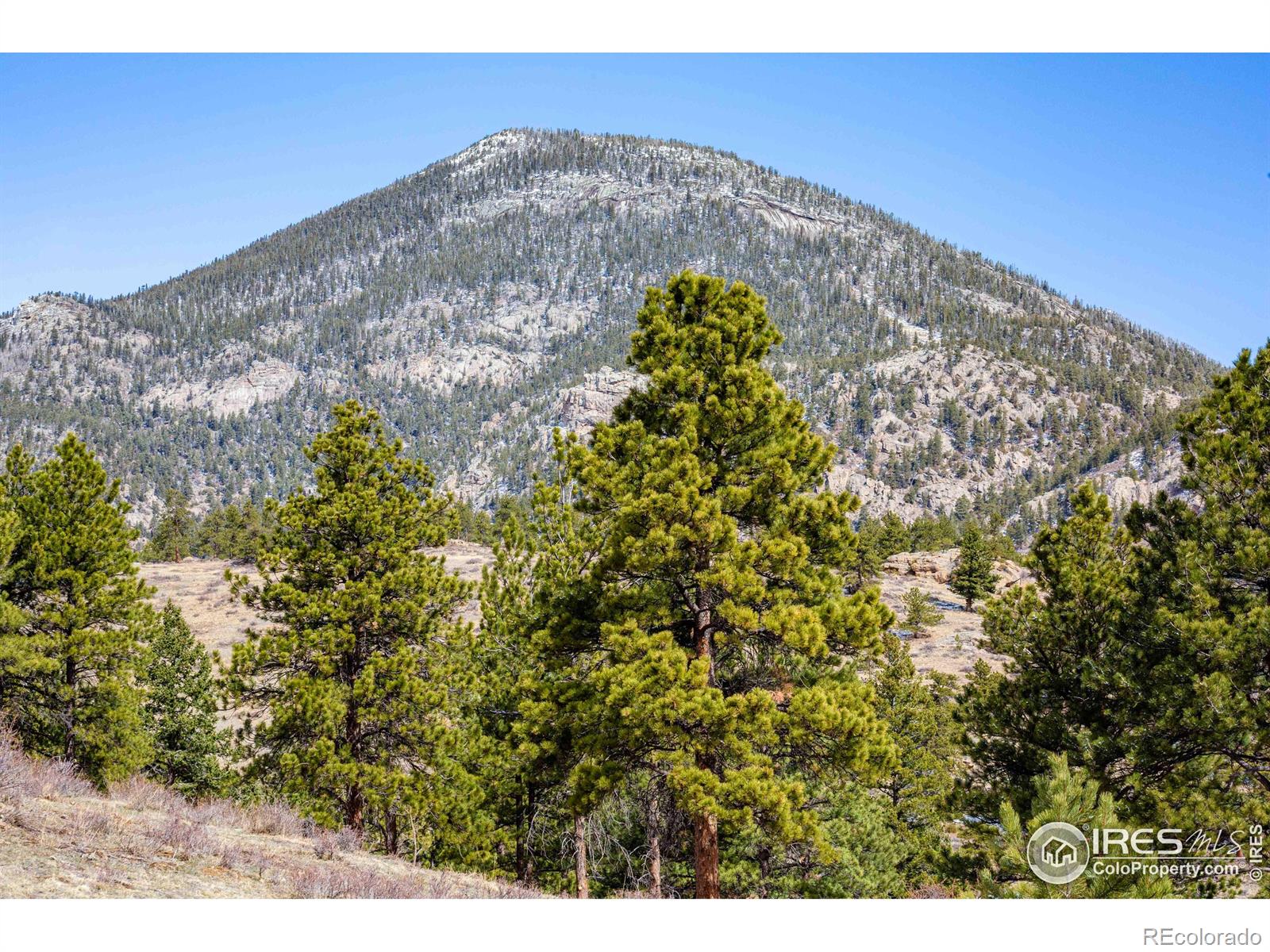 MLS Image #36 for 1070  crestview court,estes park, Colorado