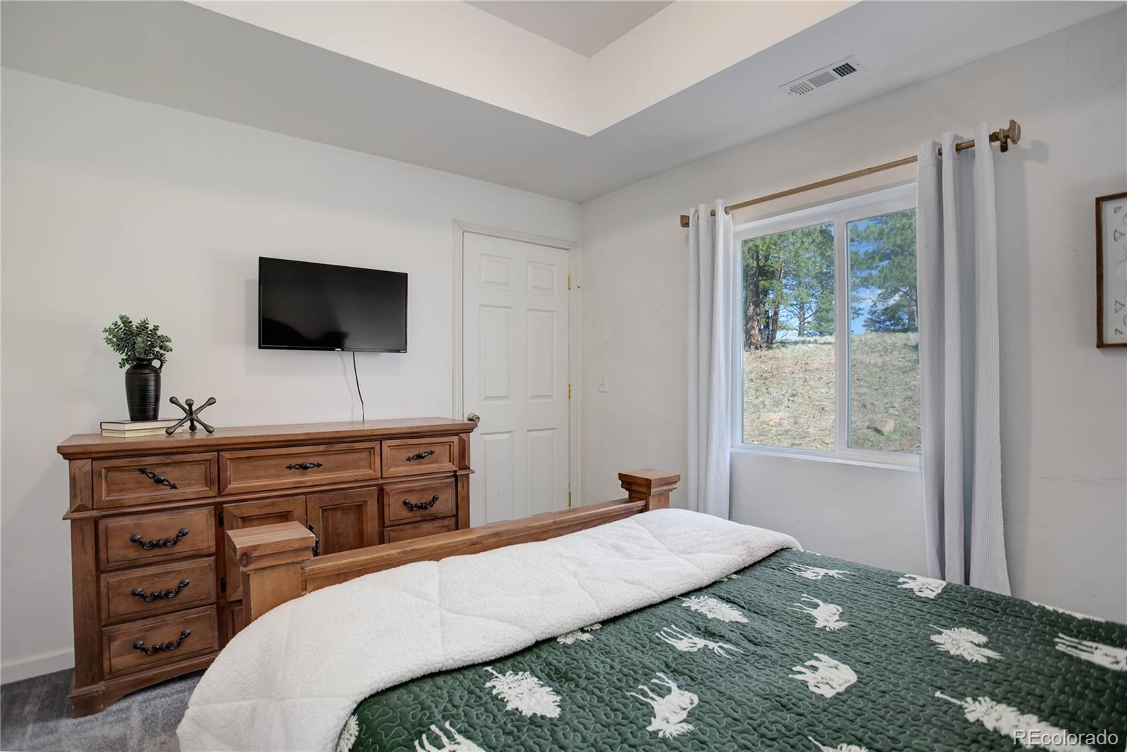 MLS Image #18 for 777  deerview drive,florissant, Colorado