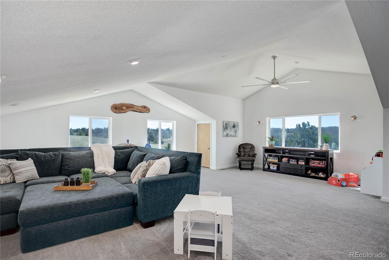MLS Image #20 for 777  deerview drive,florissant, Colorado