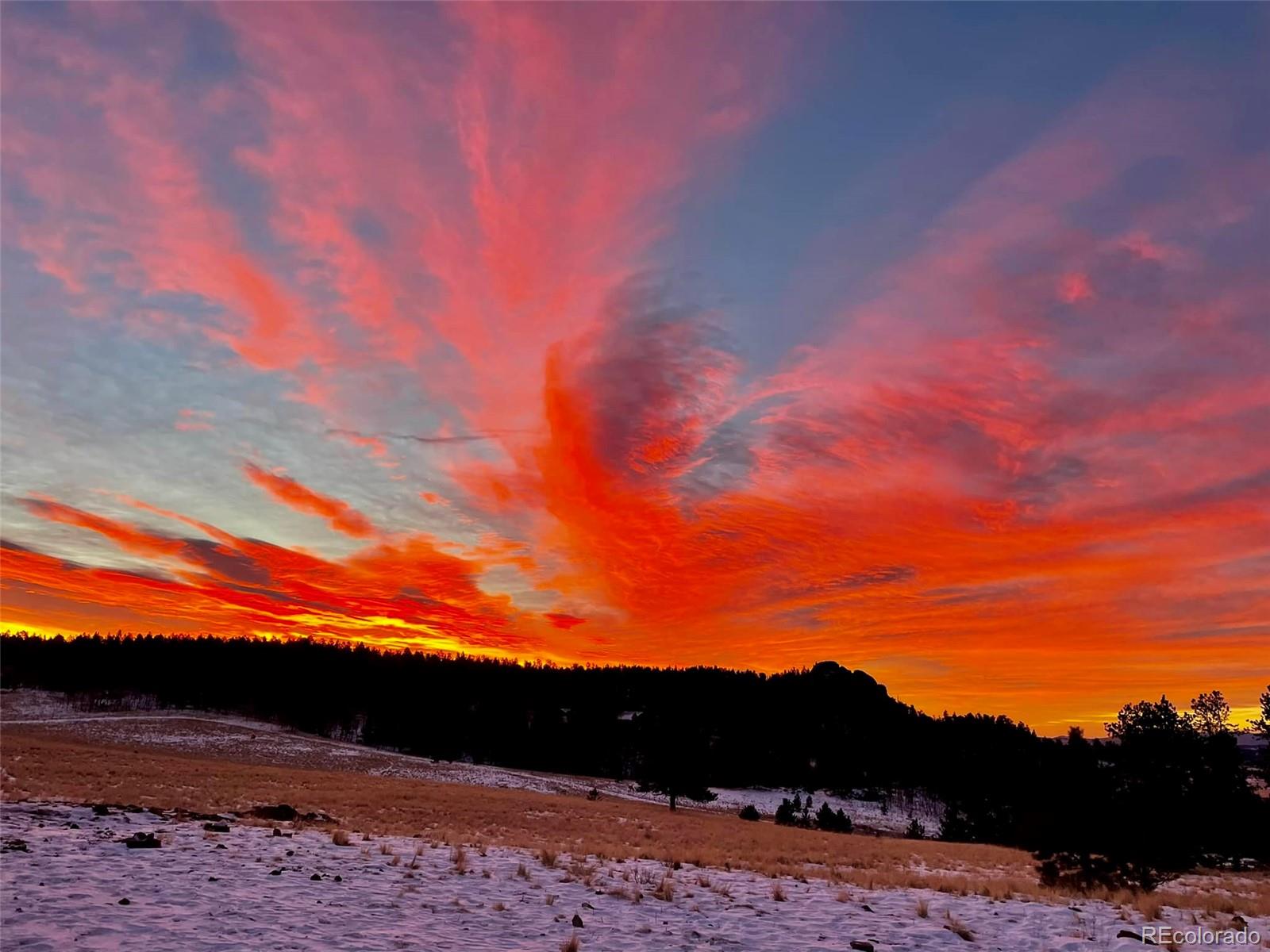 MLS Image #3 for 777  deerview drive,florissant, Colorado