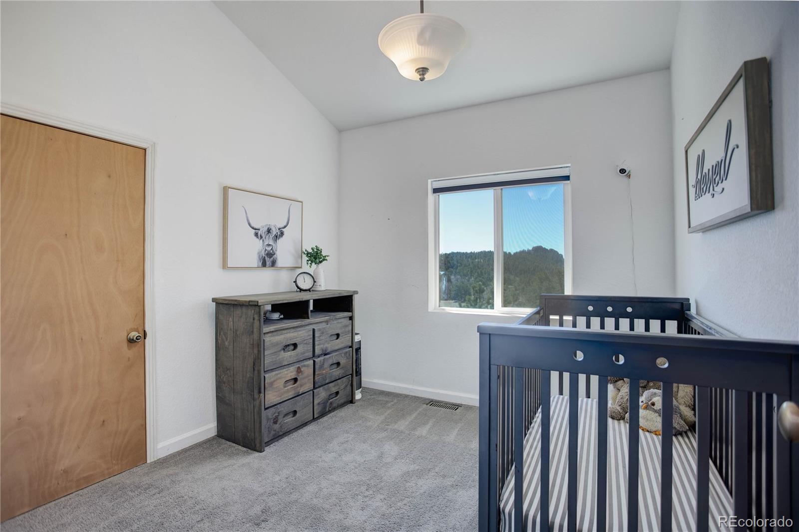 MLS Image #30 for 777  deerview drive,florissant, Colorado