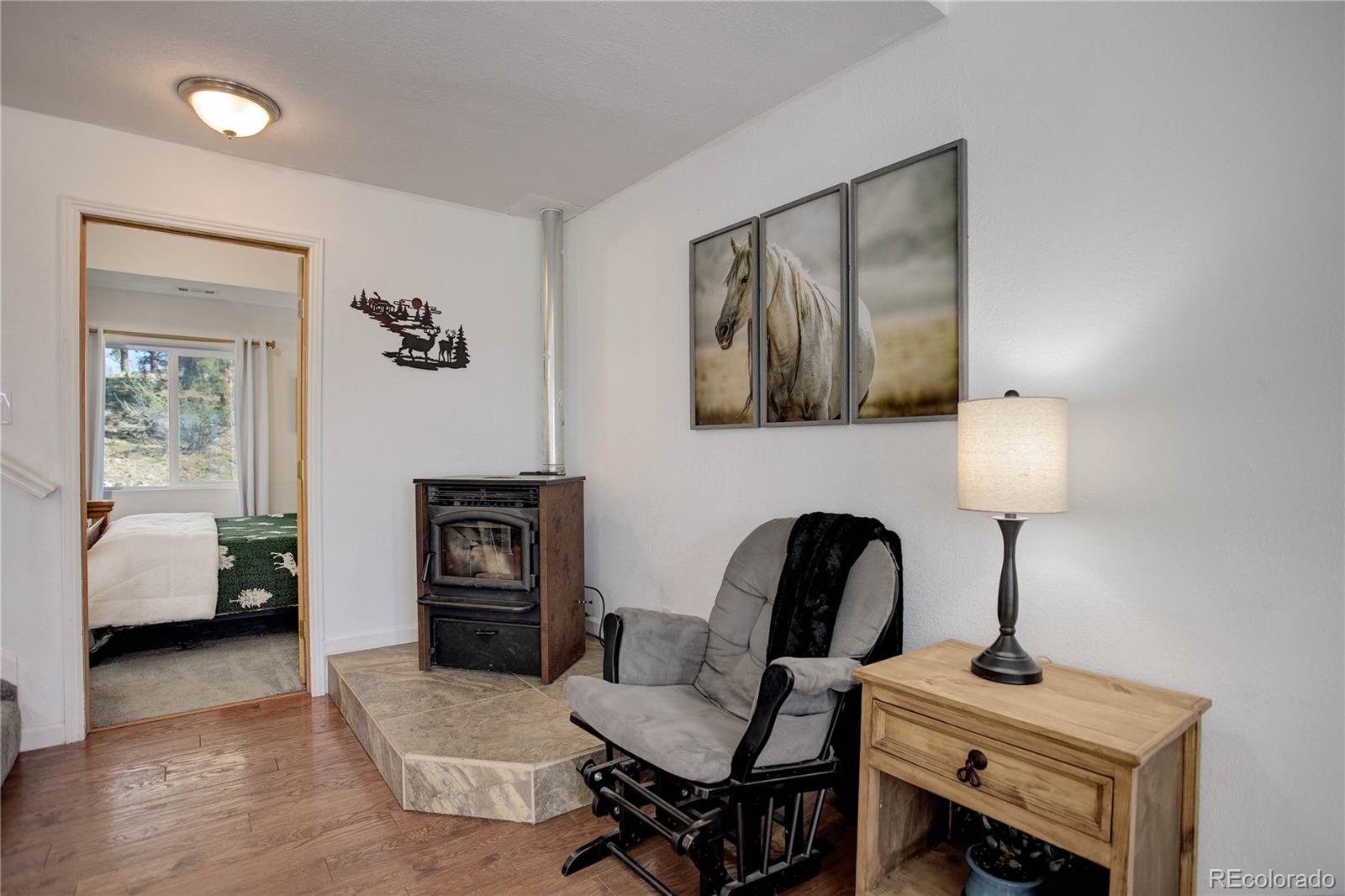 MLS Image #6 for 777  deerview drive,florissant, Colorado