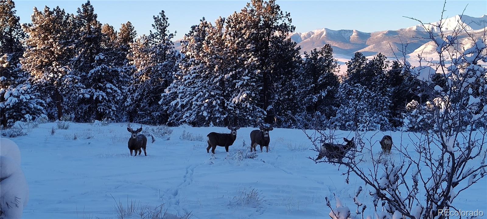 MLS Image #37 for 2325  sangre drive,westcliffe, Colorado