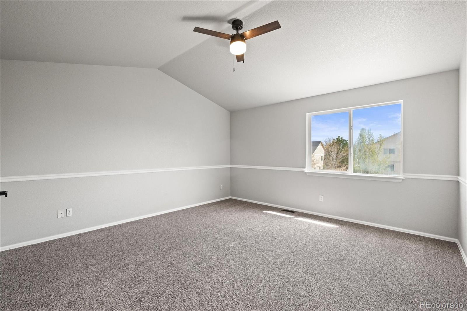 MLS Image #19 for 5934  kingsfield street,castle rock, Colorado