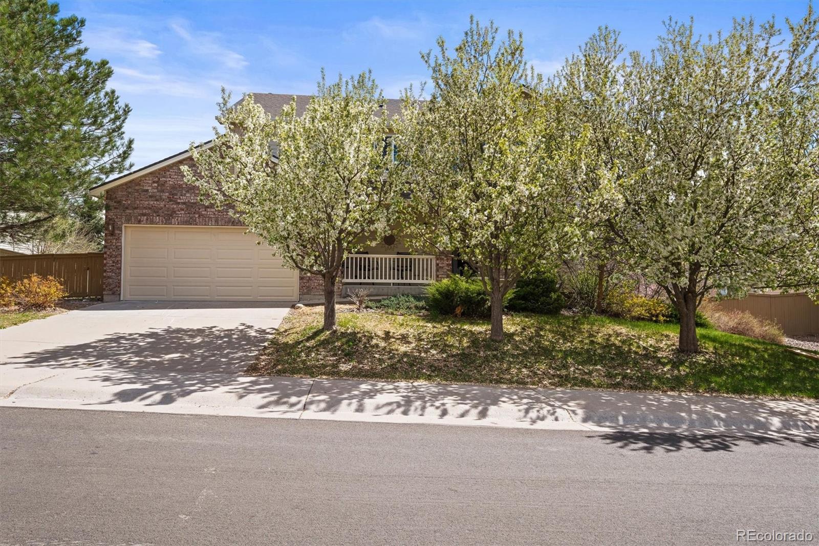 MLS Image #3 for 5934  kingsfield street,castle rock, Colorado