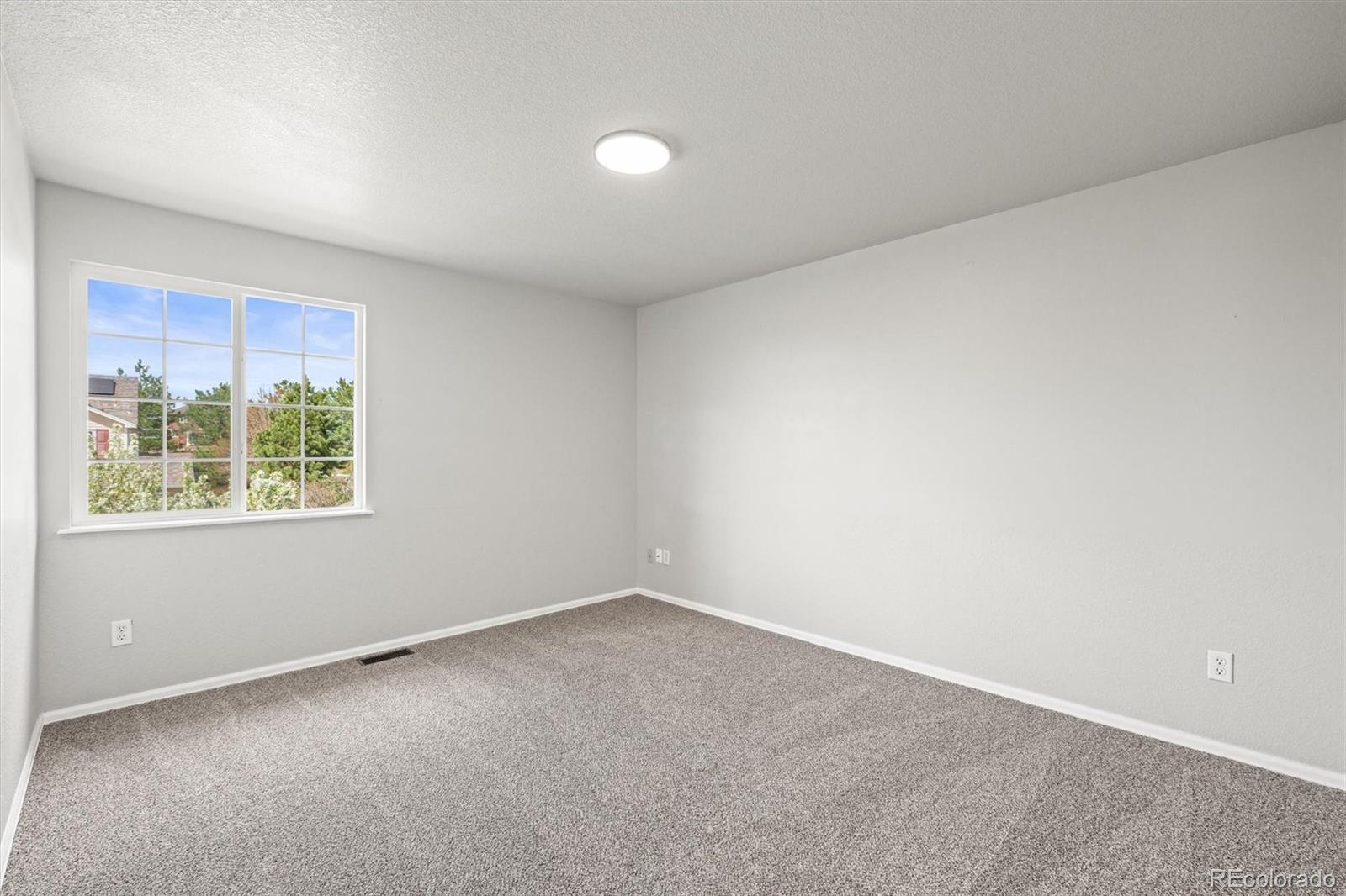 MLS Image #30 for 5934  kingsfield street,castle rock, Colorado