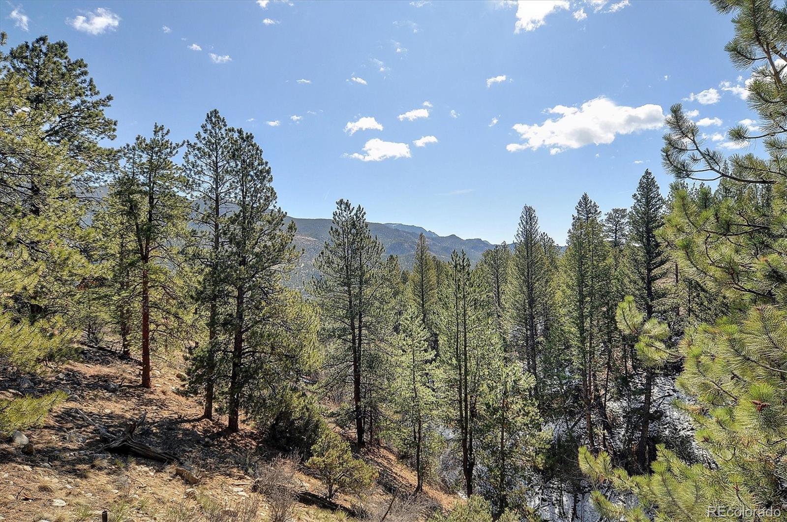 MLS Image #40 for 18610  morrison creek circle,buena vista, Colorado