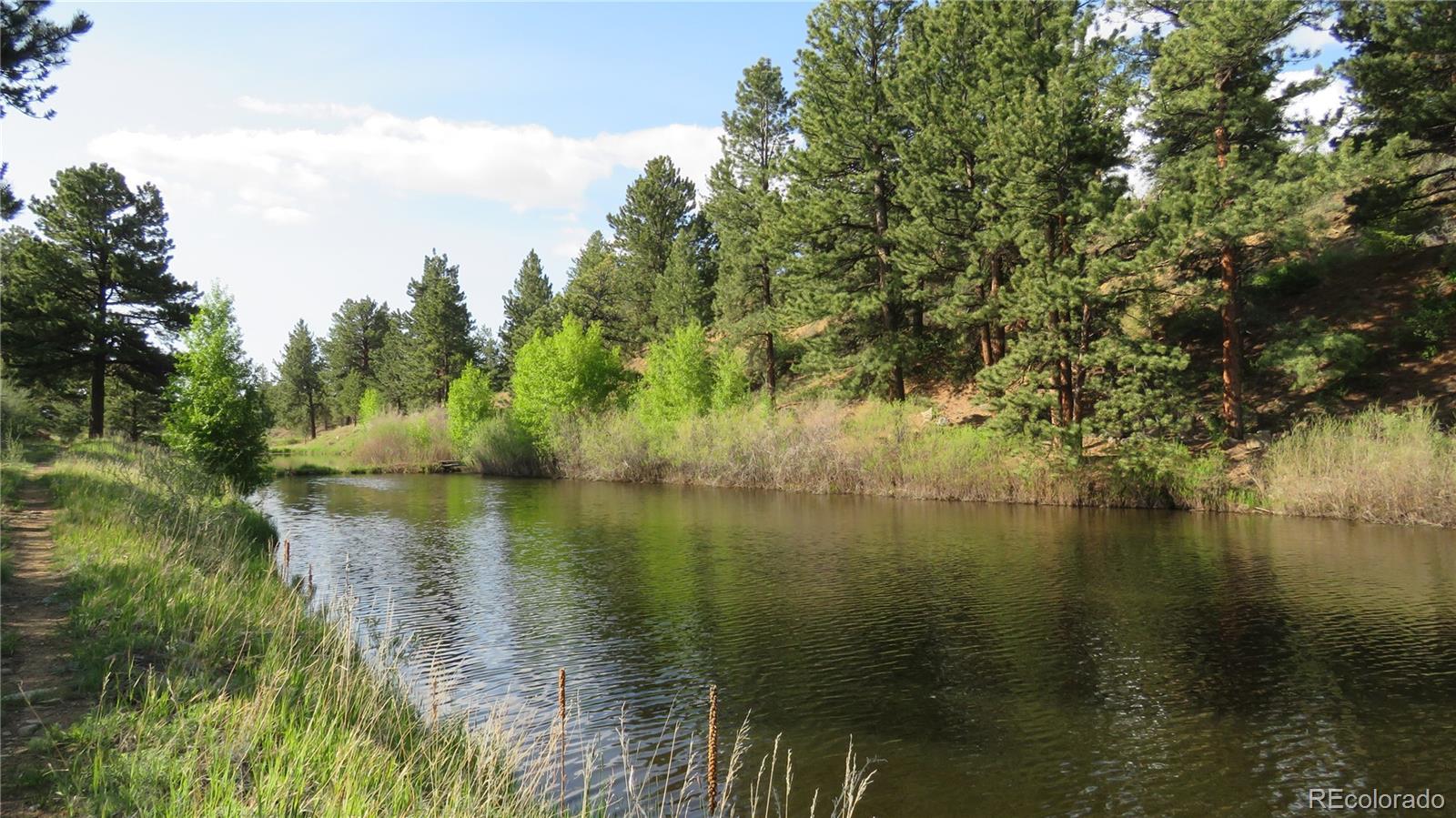 MLS Image #44 for 18610  morrison creek circle,buena vista, Colorado
