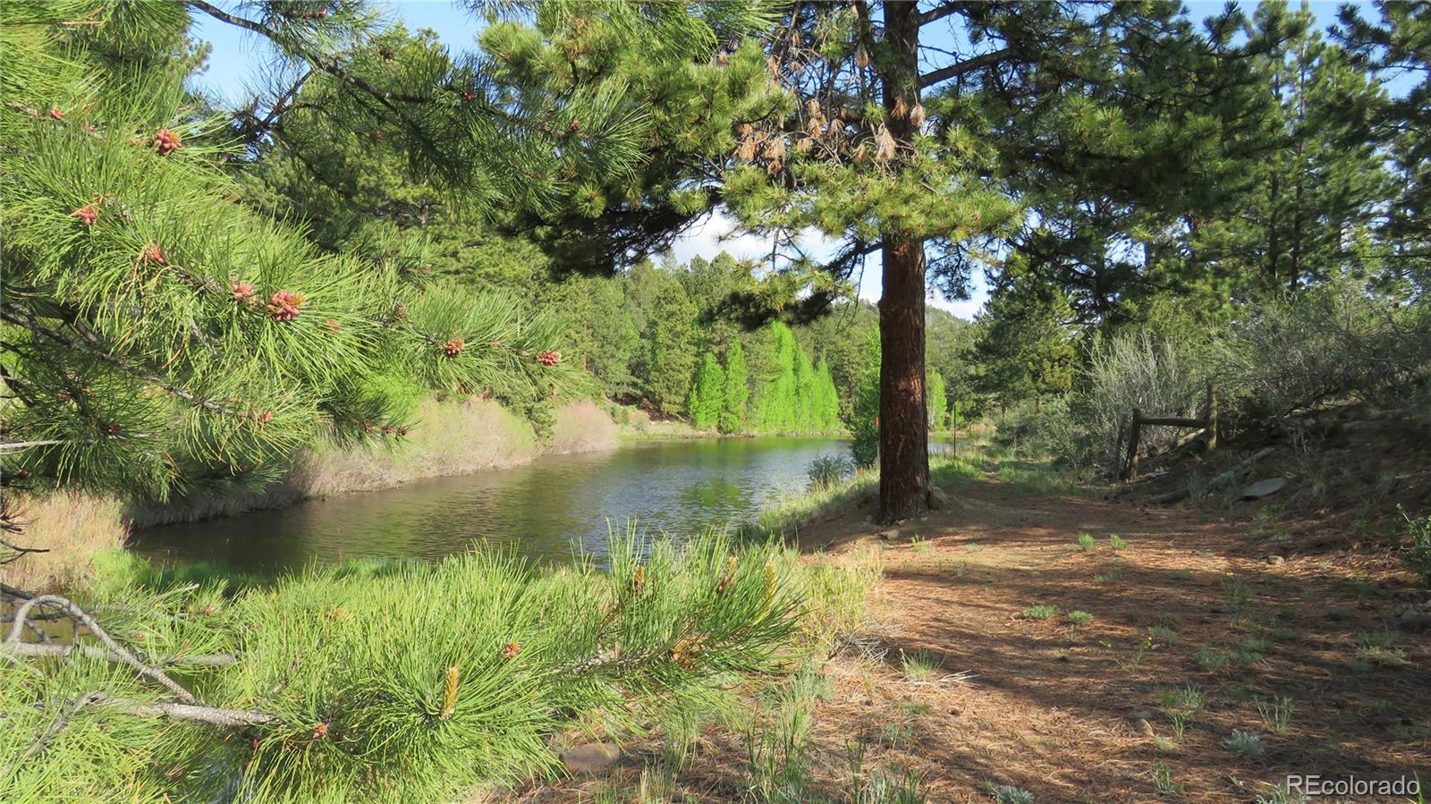 MLS Image #45 for 18610  morrison creek circle,buena vista, Colorado