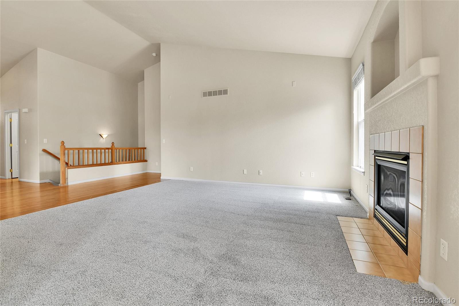 MLS Image #10 for 1034  halfmoon drive,castle rock, Colorado
