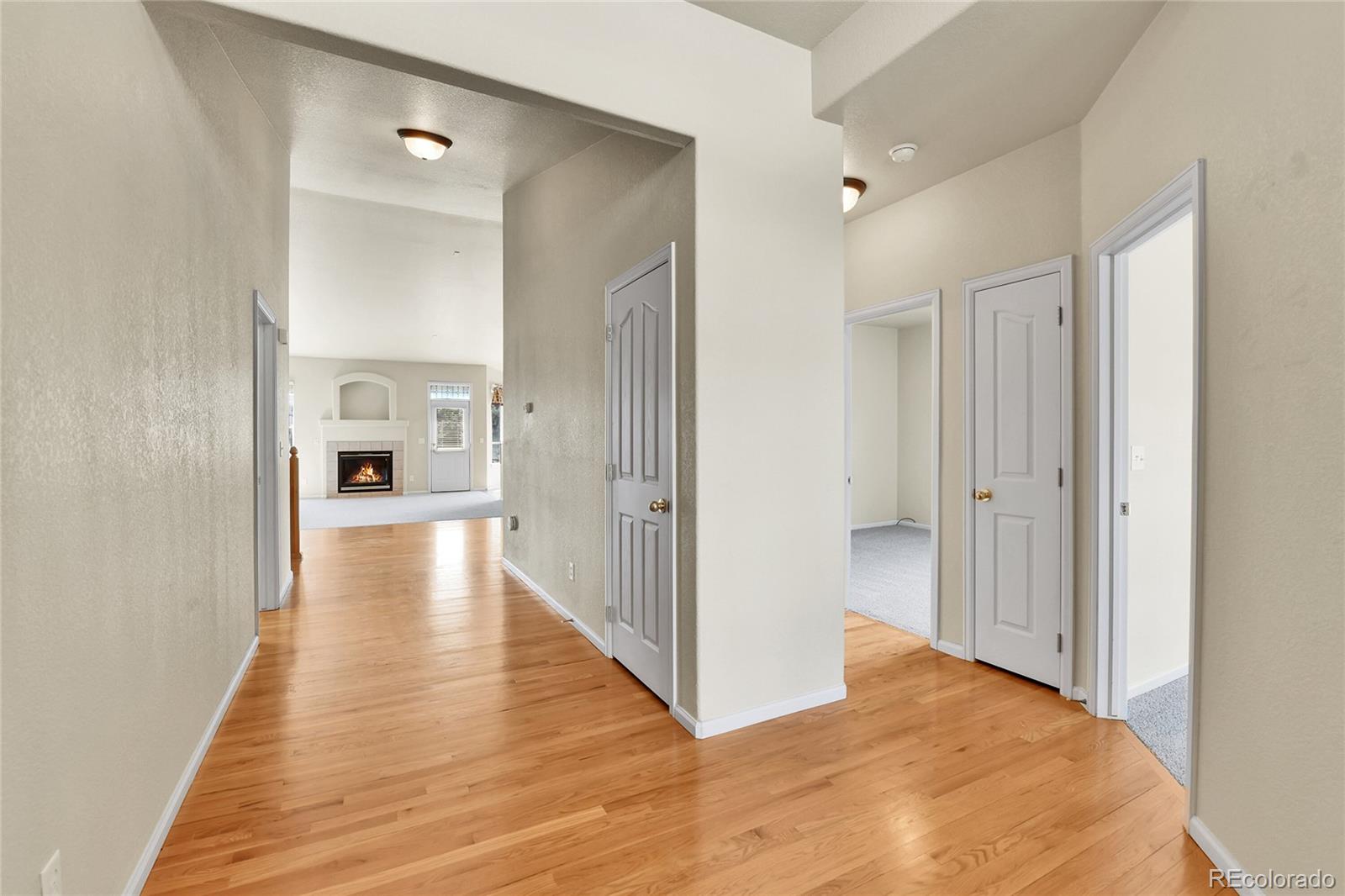 MLS Image #5 for 1034  halfmoon drive,castle rock, Colorado