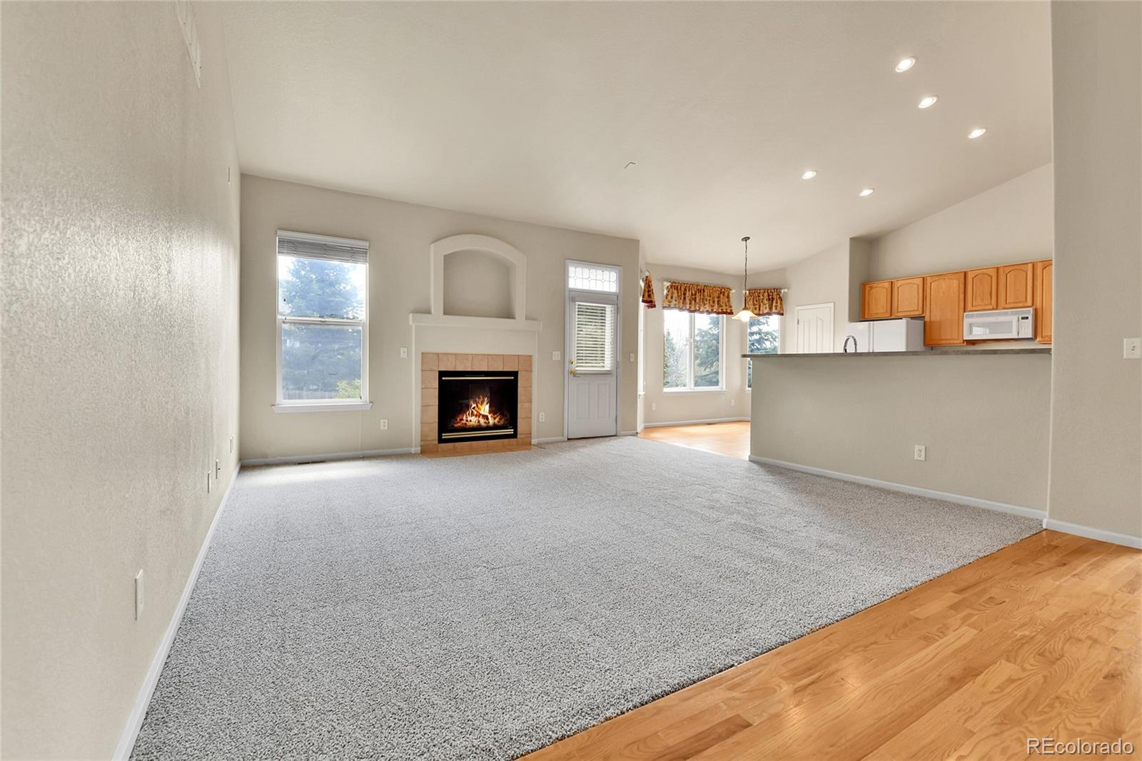MLS Image #9 for 1034  halfmoon drive,castle rock, Colorado