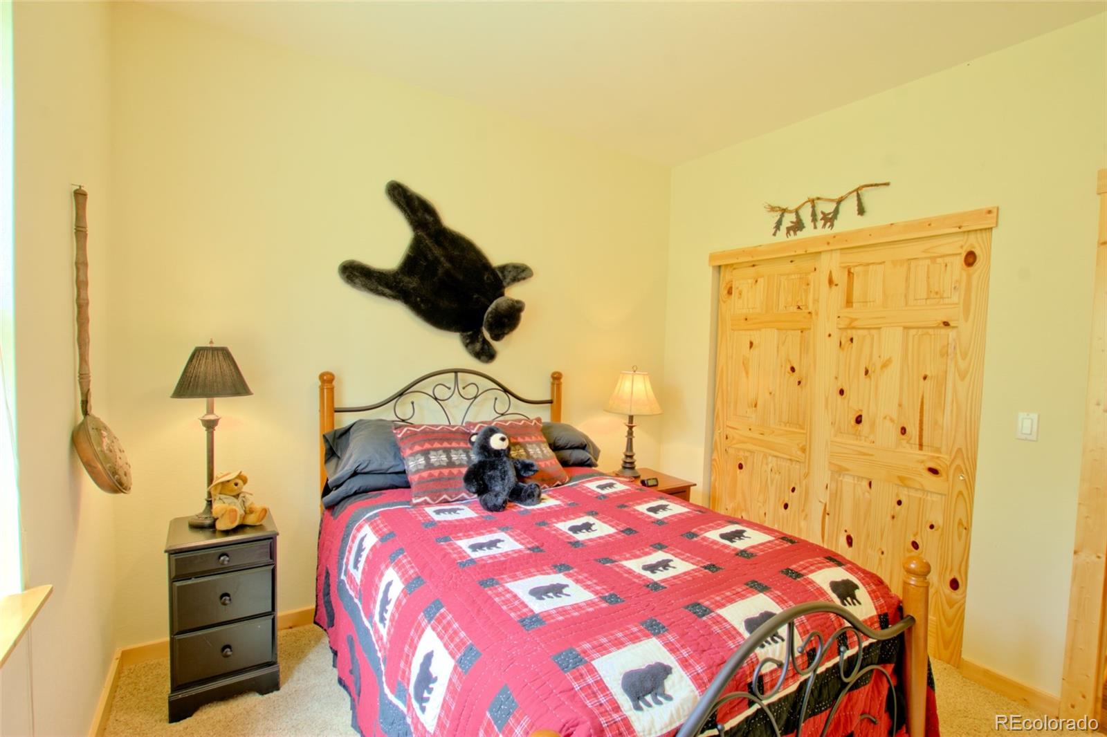 MLS Image #21 for 1224  circle 73 ,fairplay, Colorado