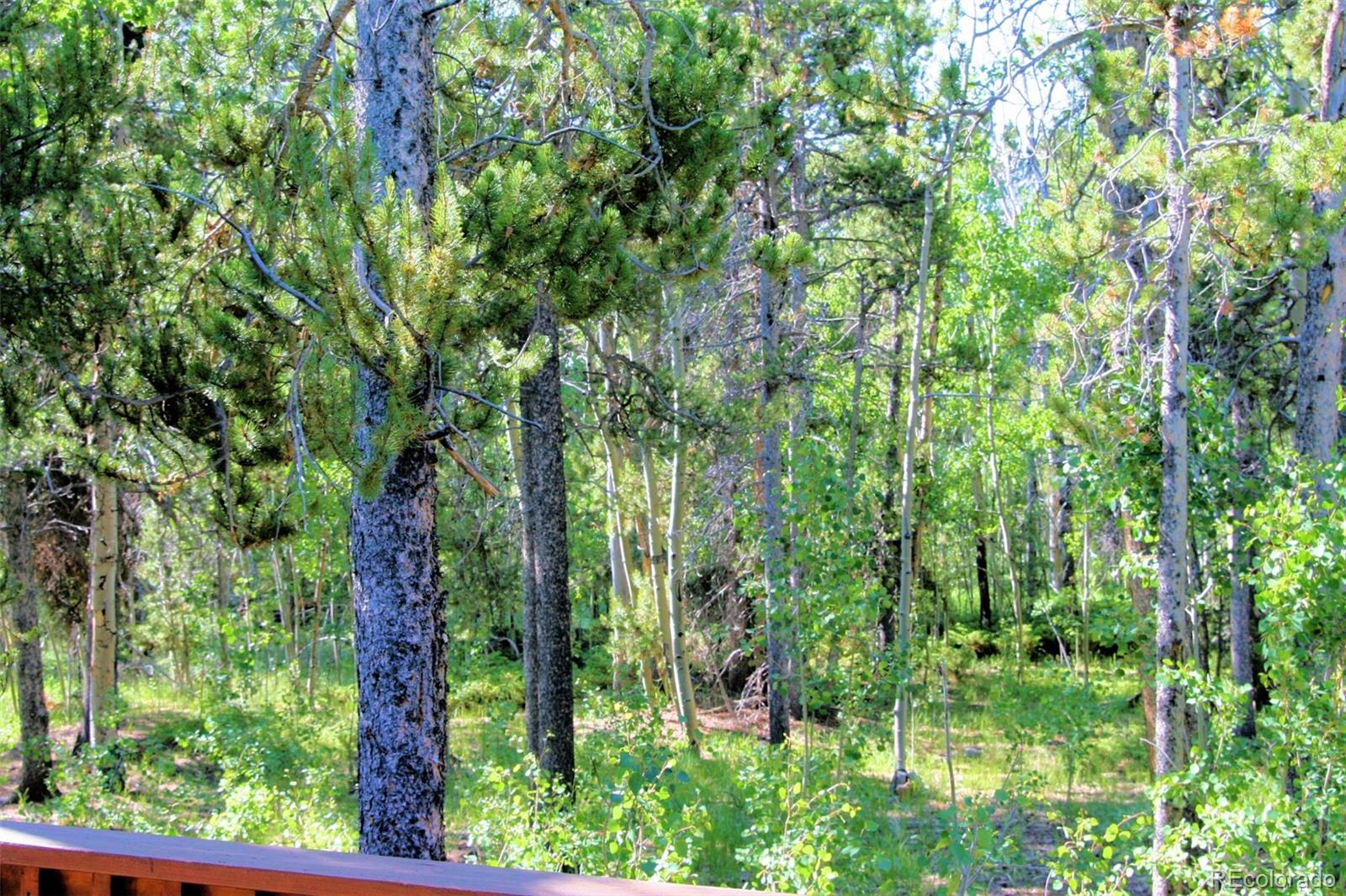 MLS Image #23 for 1224  circle 73 ,fairplay, Colorado