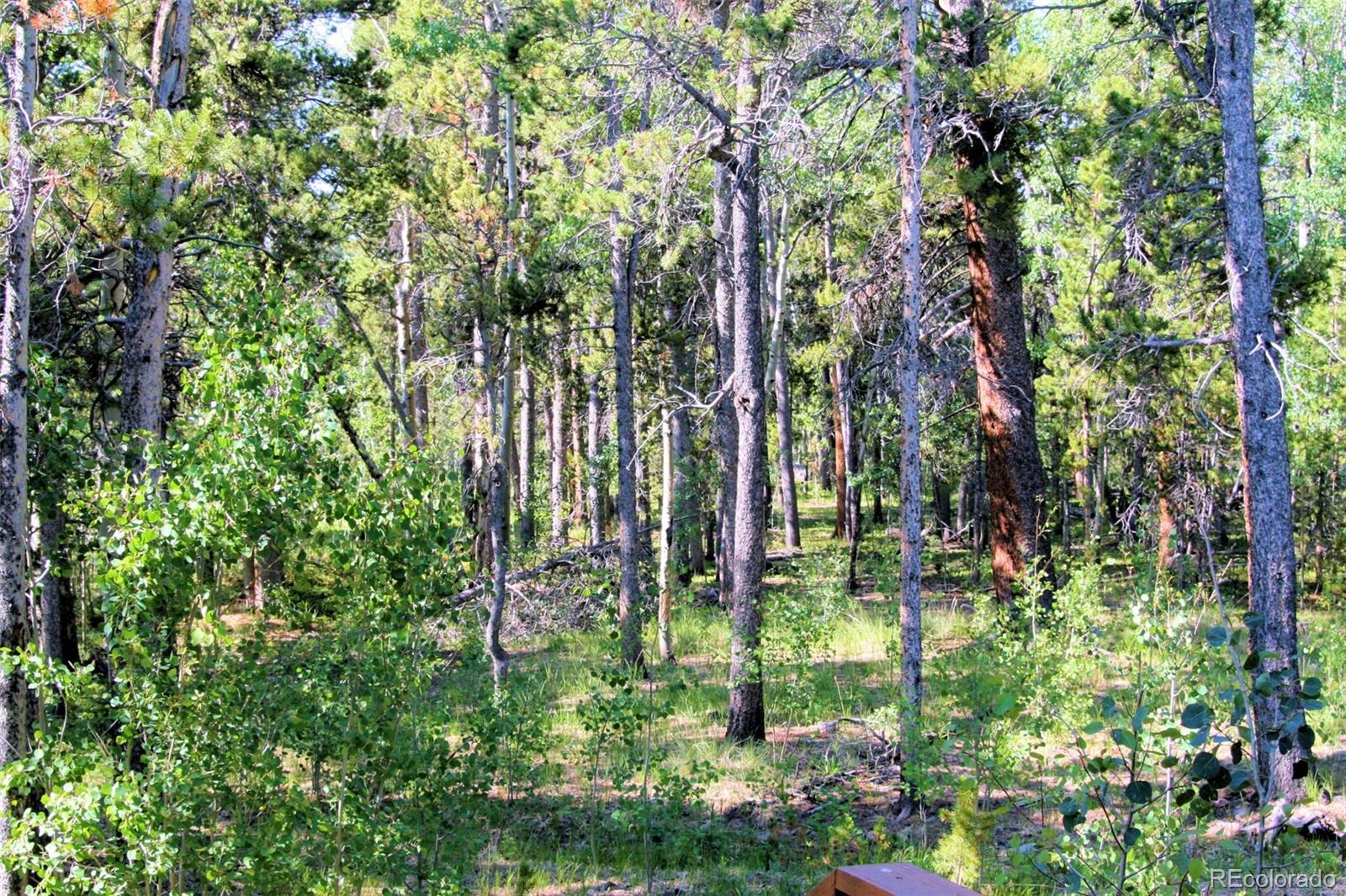 MLS Image #24 for 1224  circle 73 ,fairplay, Colorado