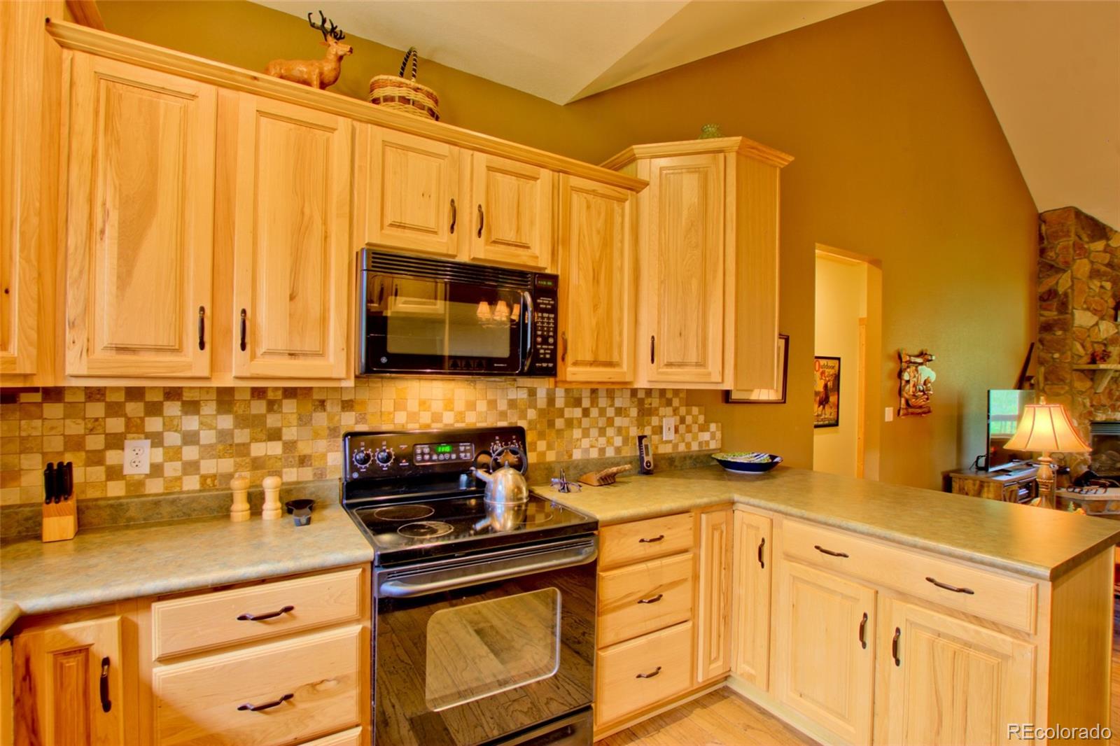MLS Image #27 for 1224  circle 73 ,fairplay, Colorado