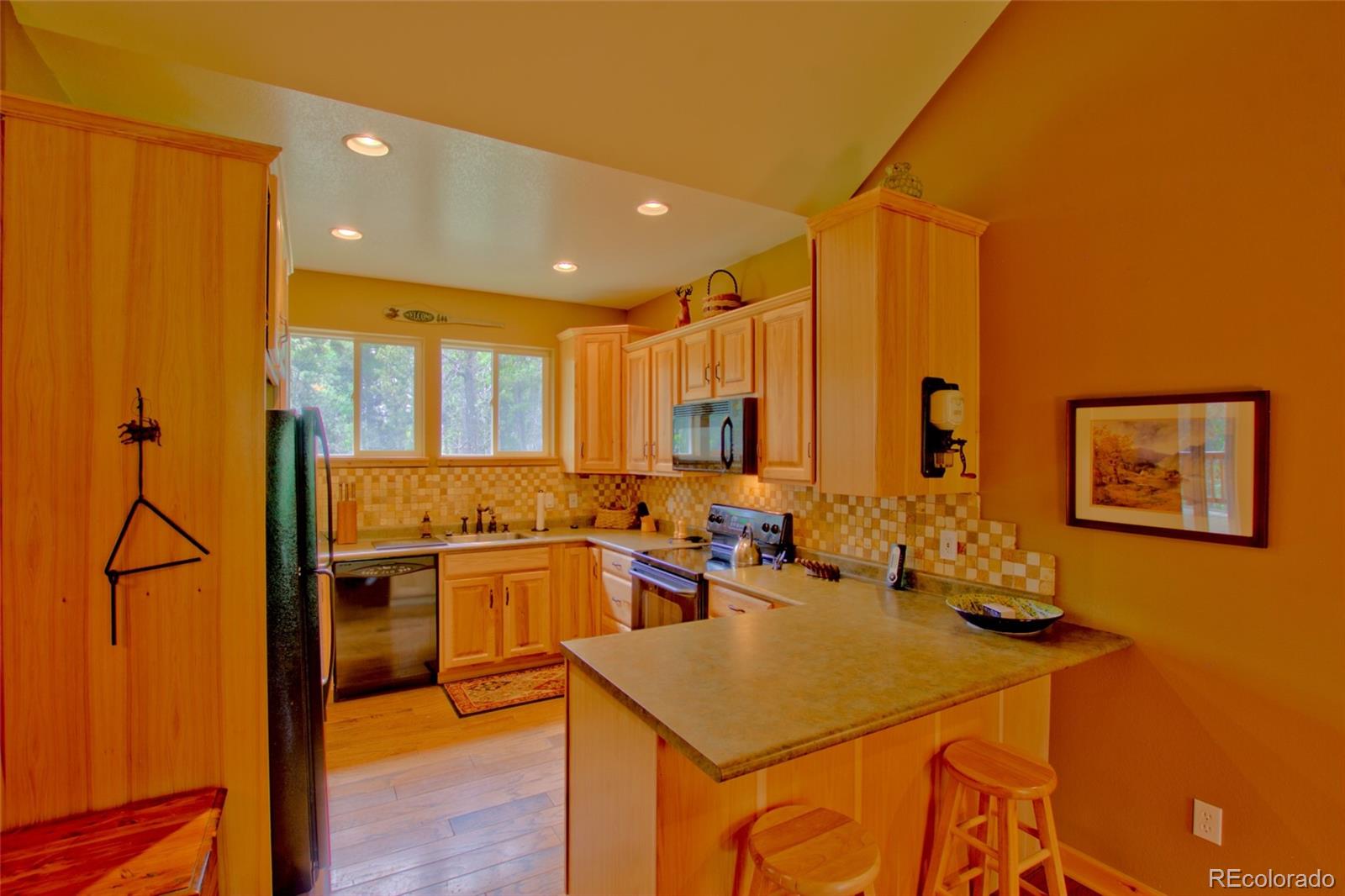 MLS Image #3 for 1224  circle 73 ,fairplay, Colorado