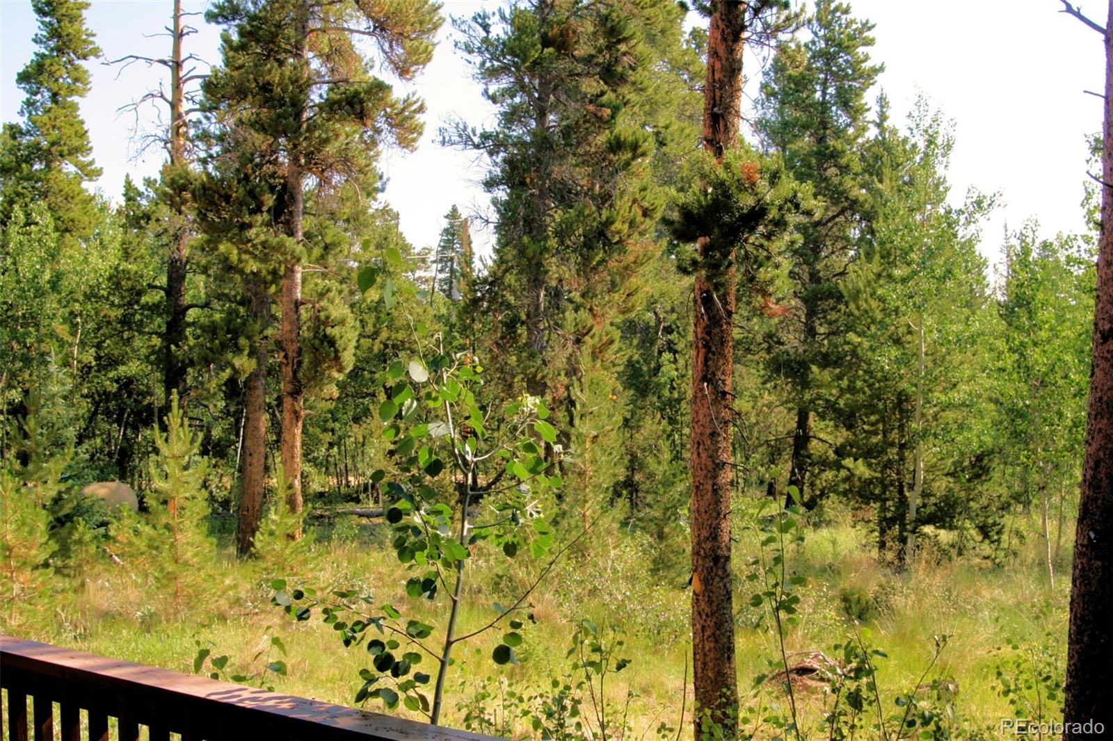 MLS Image #34 for 1224  circle 73 ,fairplay, Colorado