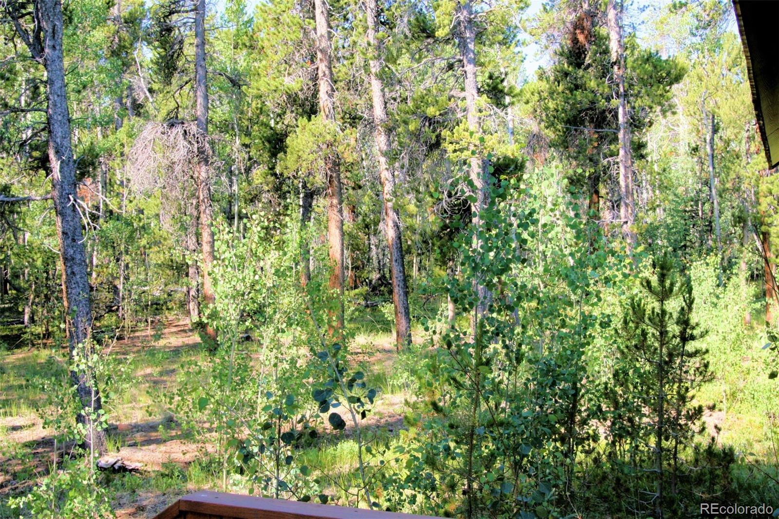 MLS Image #35 for 1224  circle 73 ,fairplay, Colorado