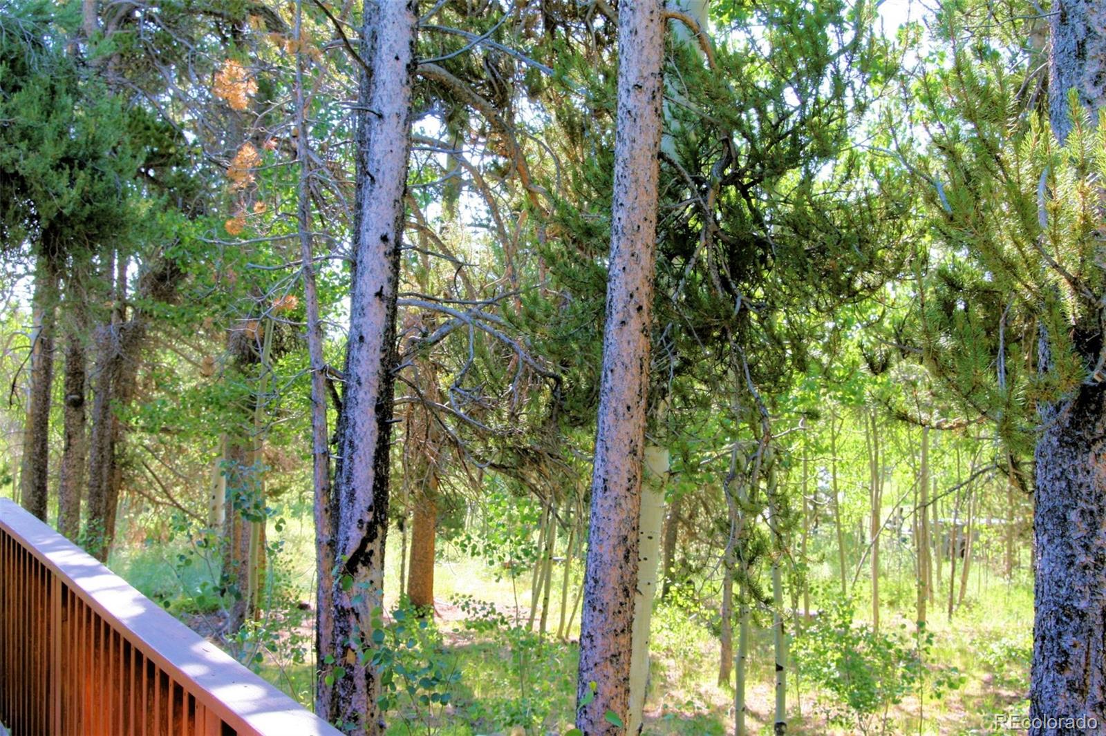 MLS Image #36 for 1224  circle 73 ,fairplay, Colorado