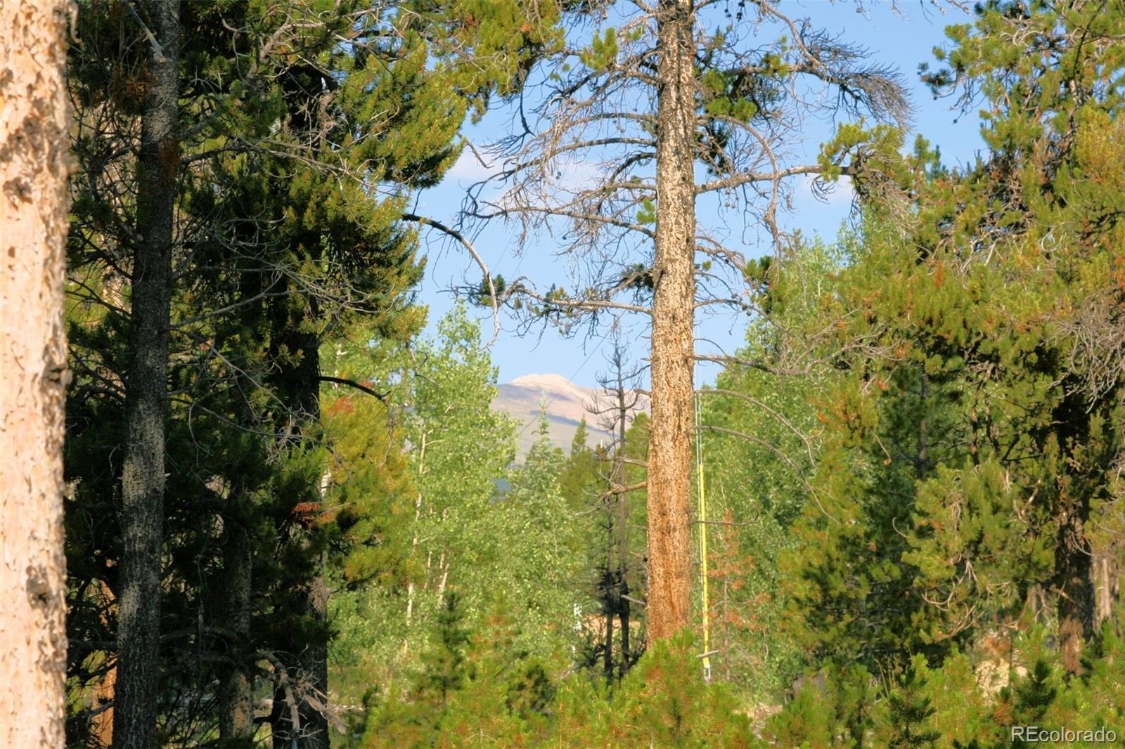 MLS Image #7 for 1224  circle 73 ,fairplay, Colorado