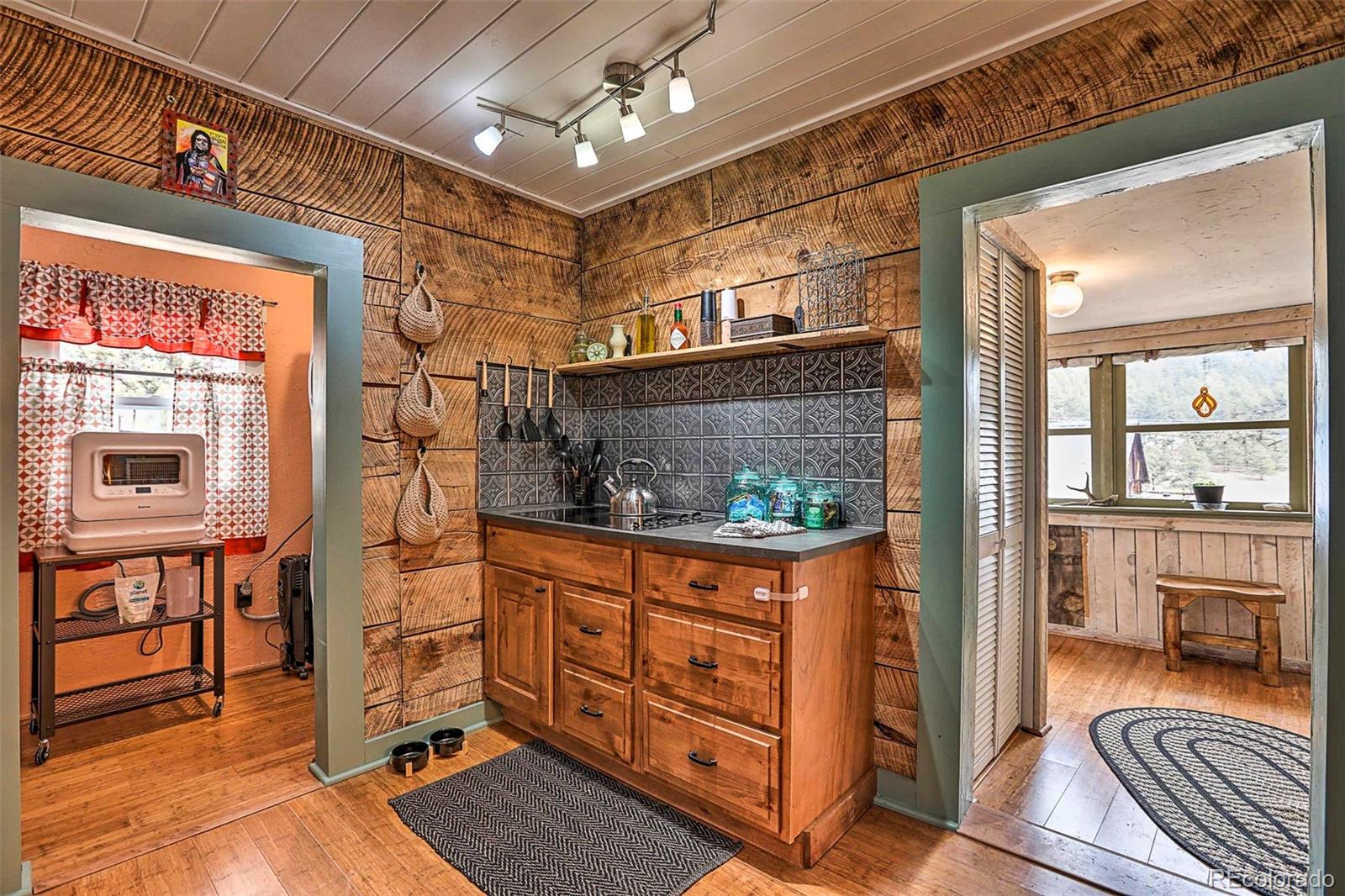 MLS Image #15 for 11  fifth street,guffey, Colorado