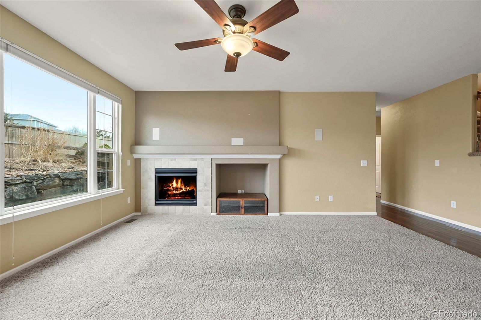 MLS Image #16 for 11704  hale court,parker, Colorado