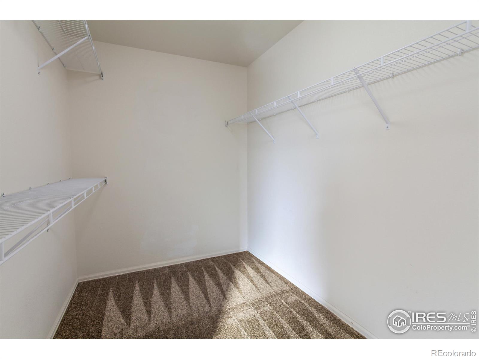 MLS Image #27 for 4191  woodlake lane,wellington, Colorado