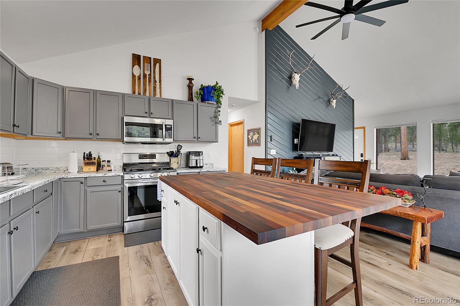 MLS Image #10 for 243  bandit lane,bailey, Colorado